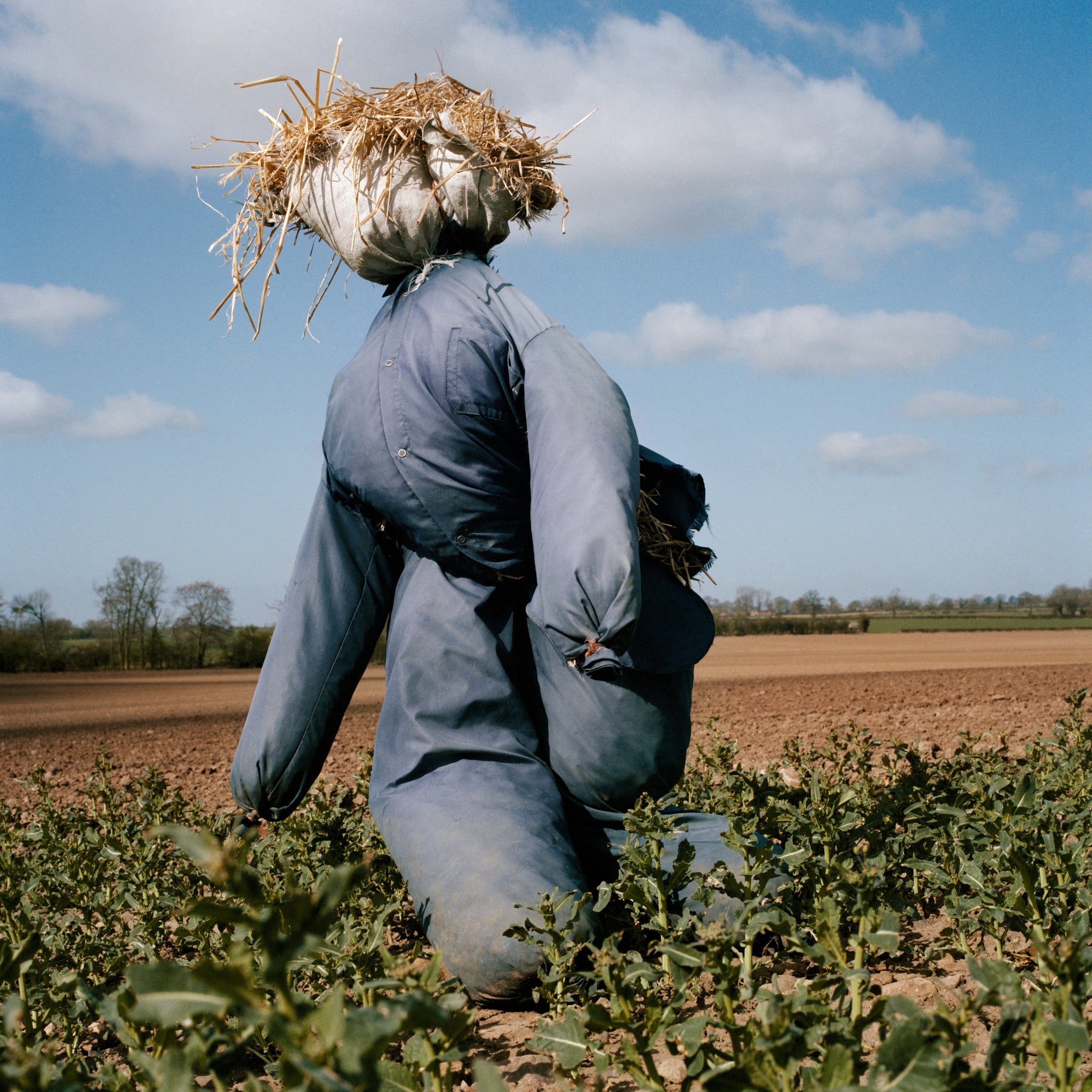 5 Years of Publishing and how Rudi met Peter