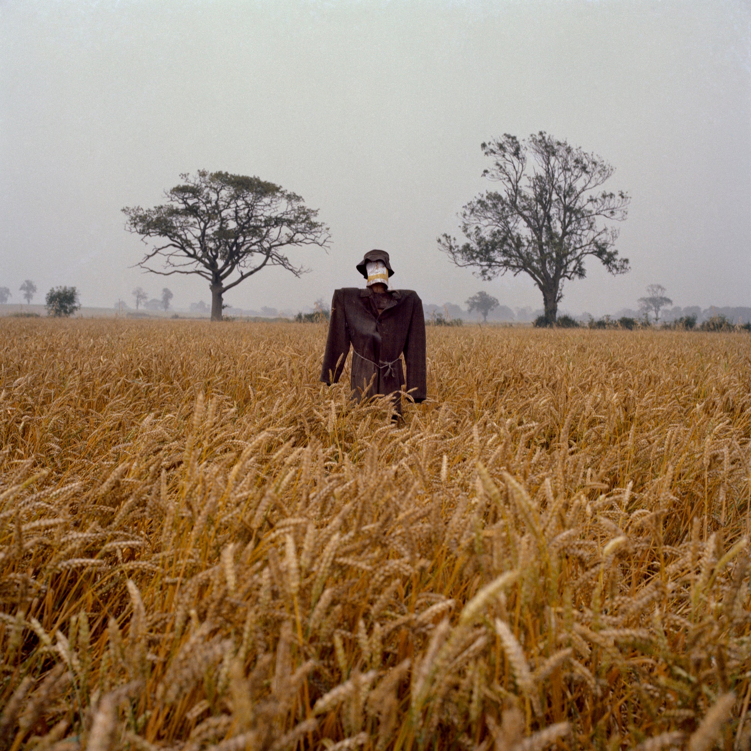 Some Thing means Everything to Somebody