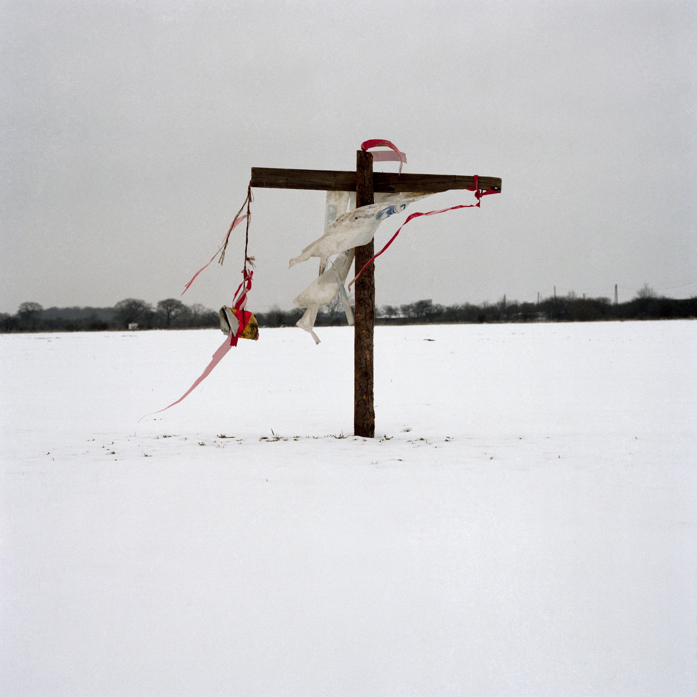 Some Thing means Everything to Somebody