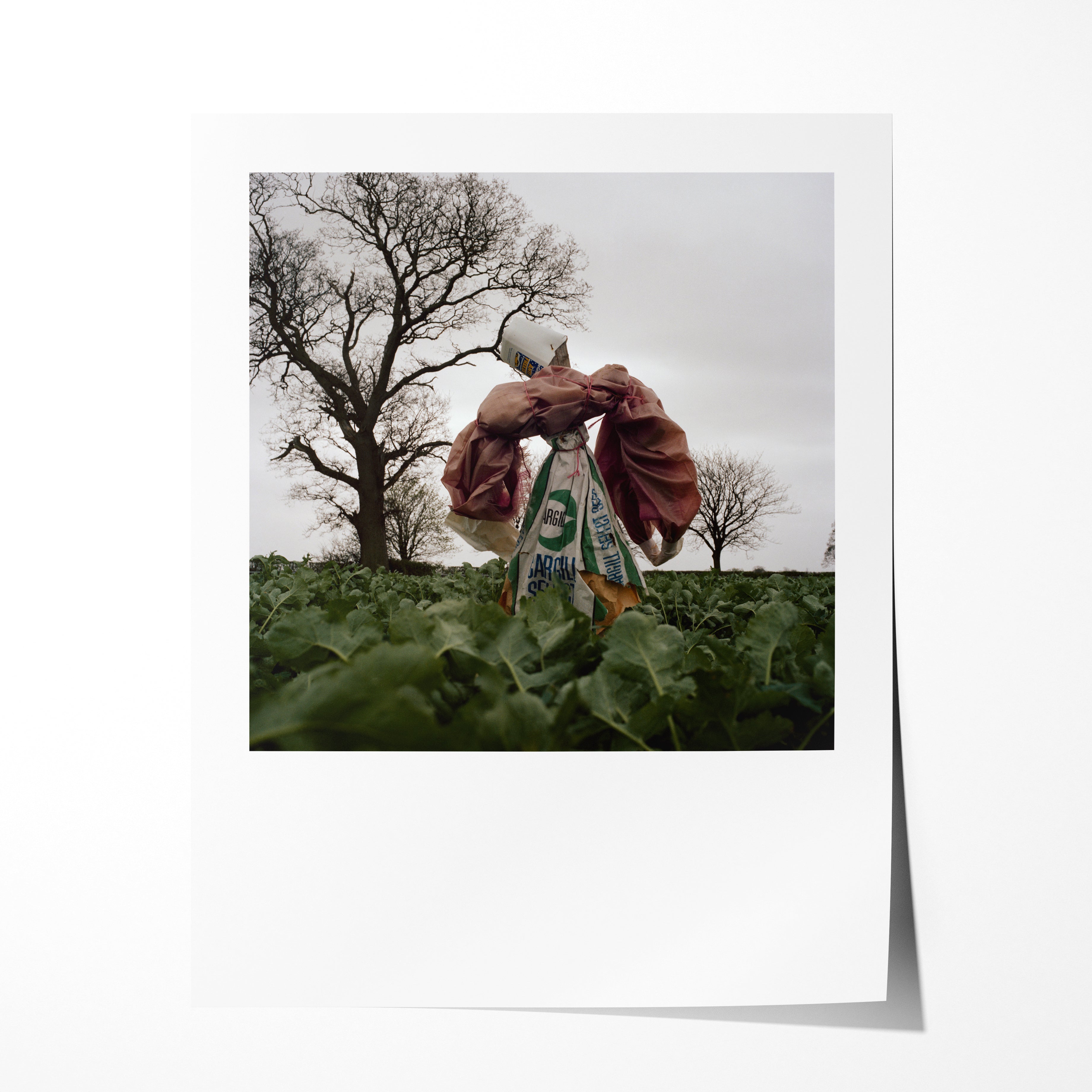Scarecrow 01