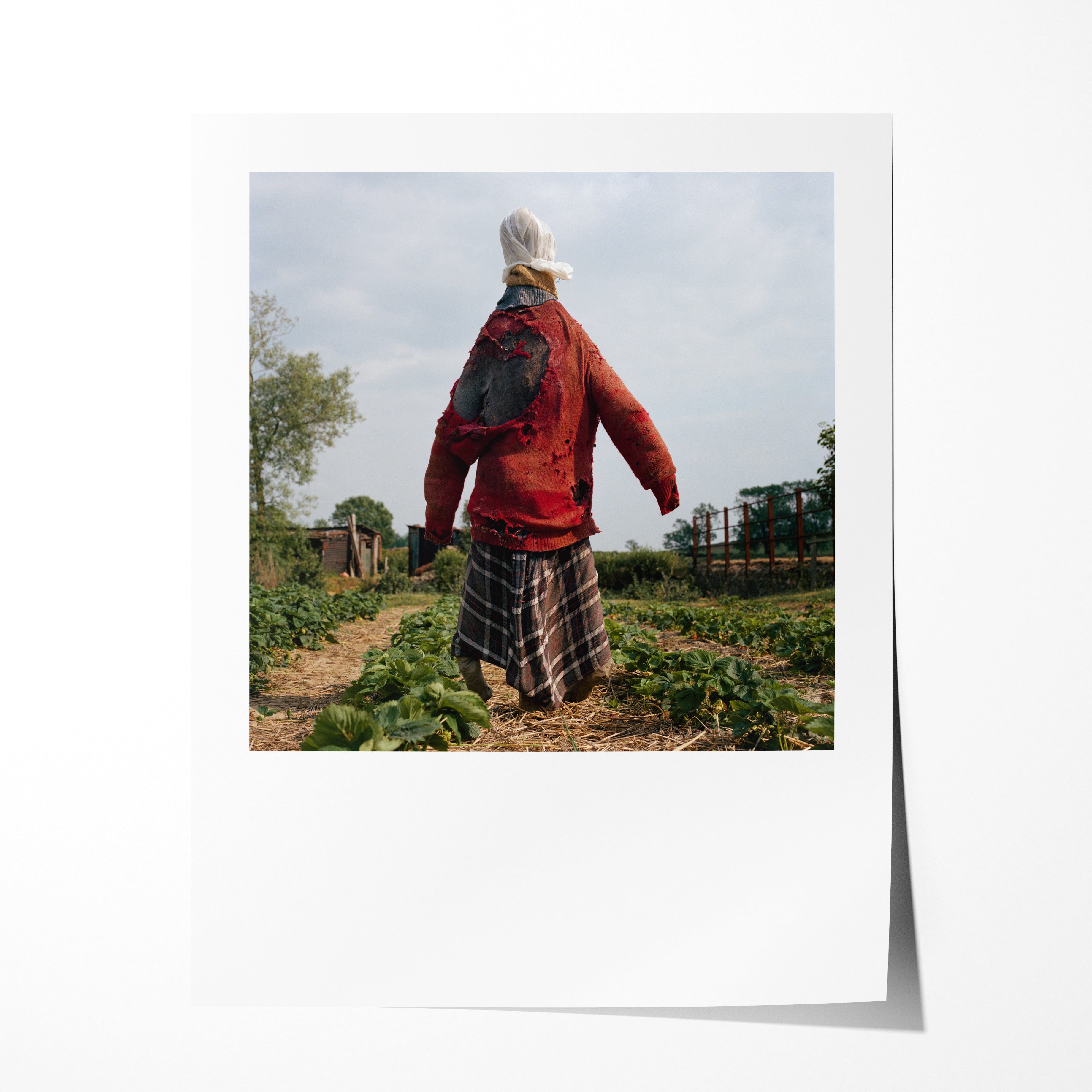 Scarecrow 02