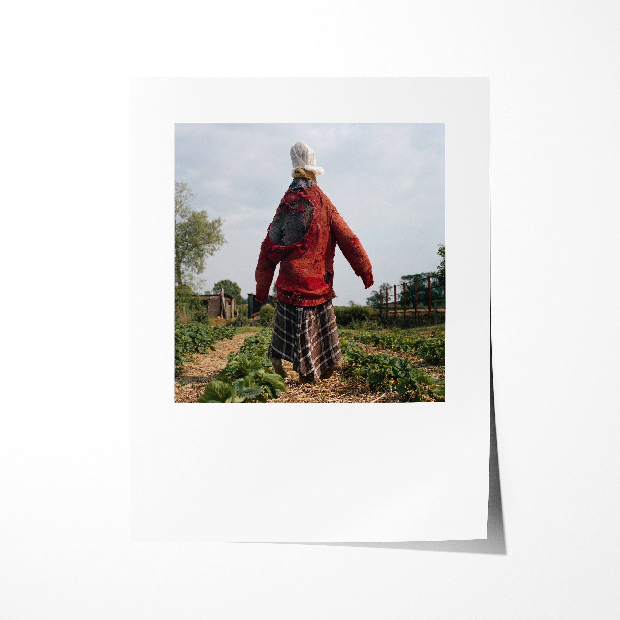 Scarecrow 02