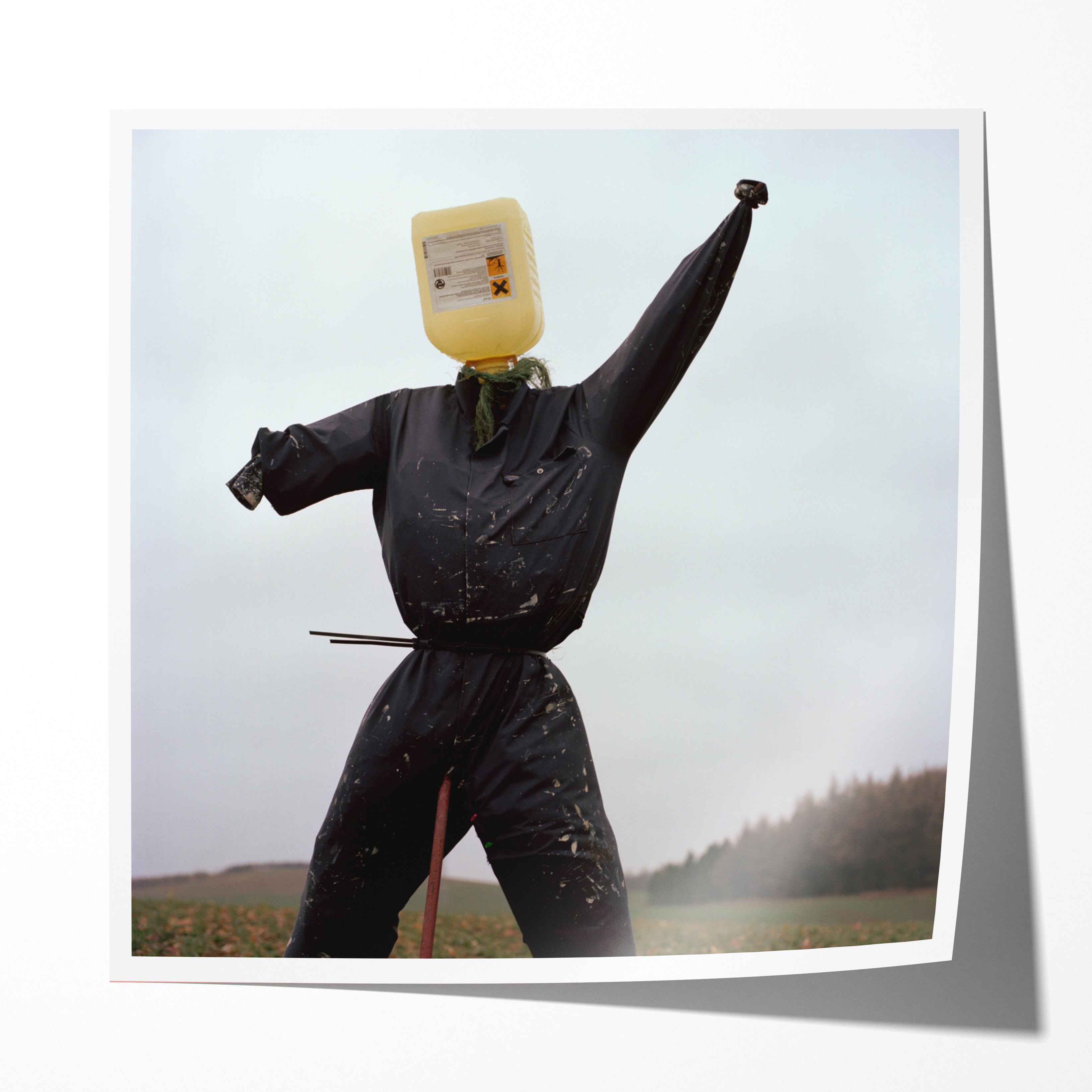 Scarecrow 04