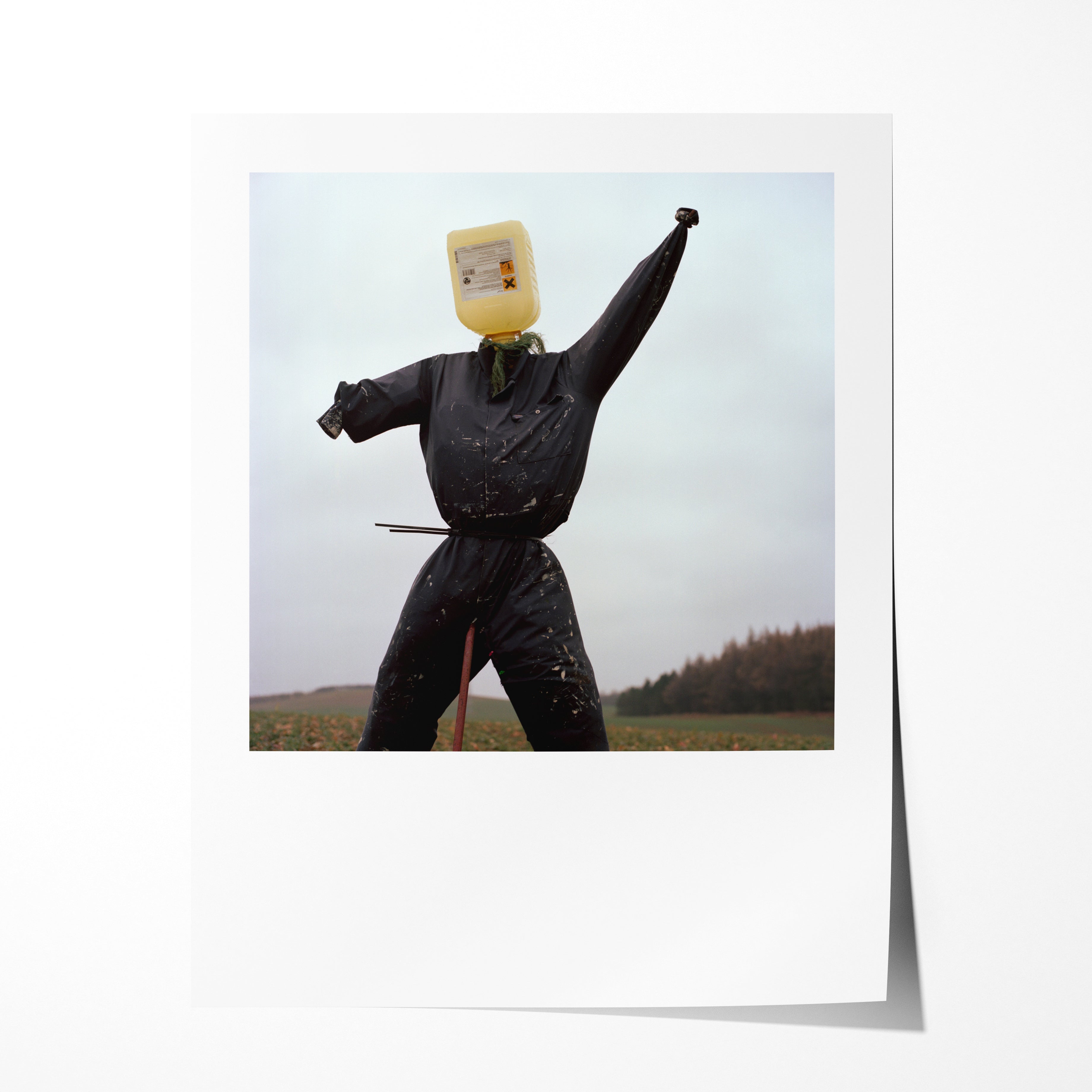 Scarecrow 04