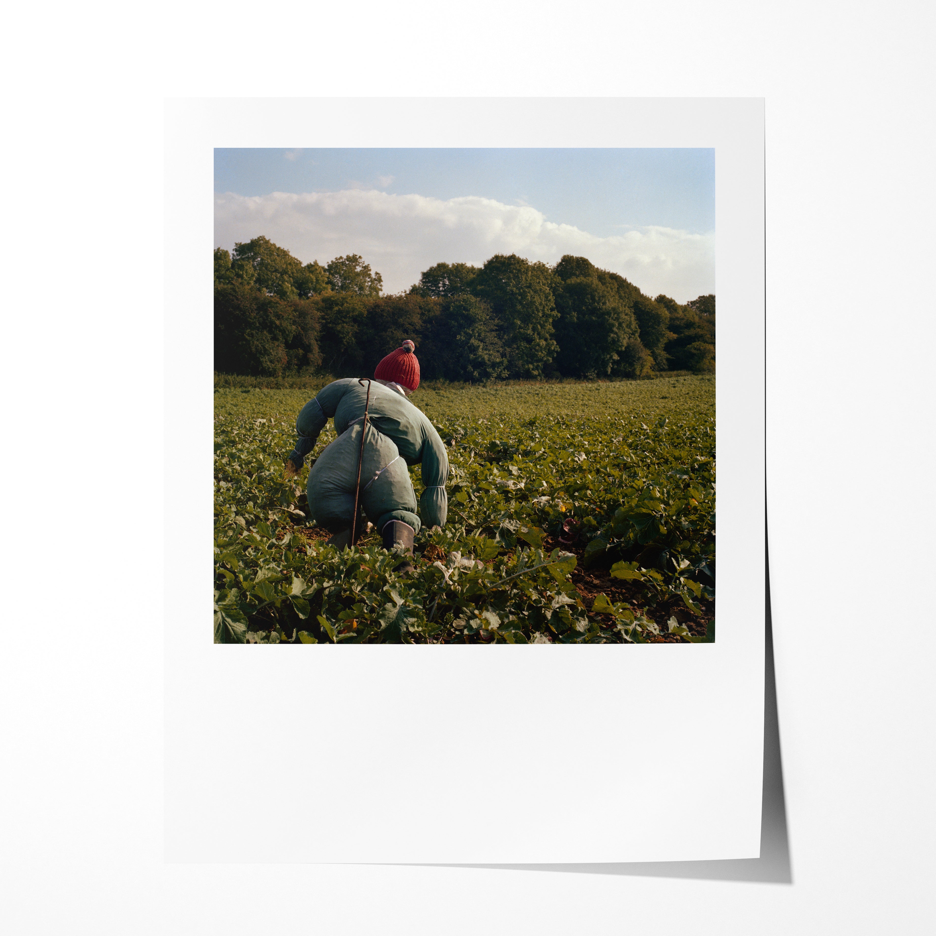 Scarecrow 06