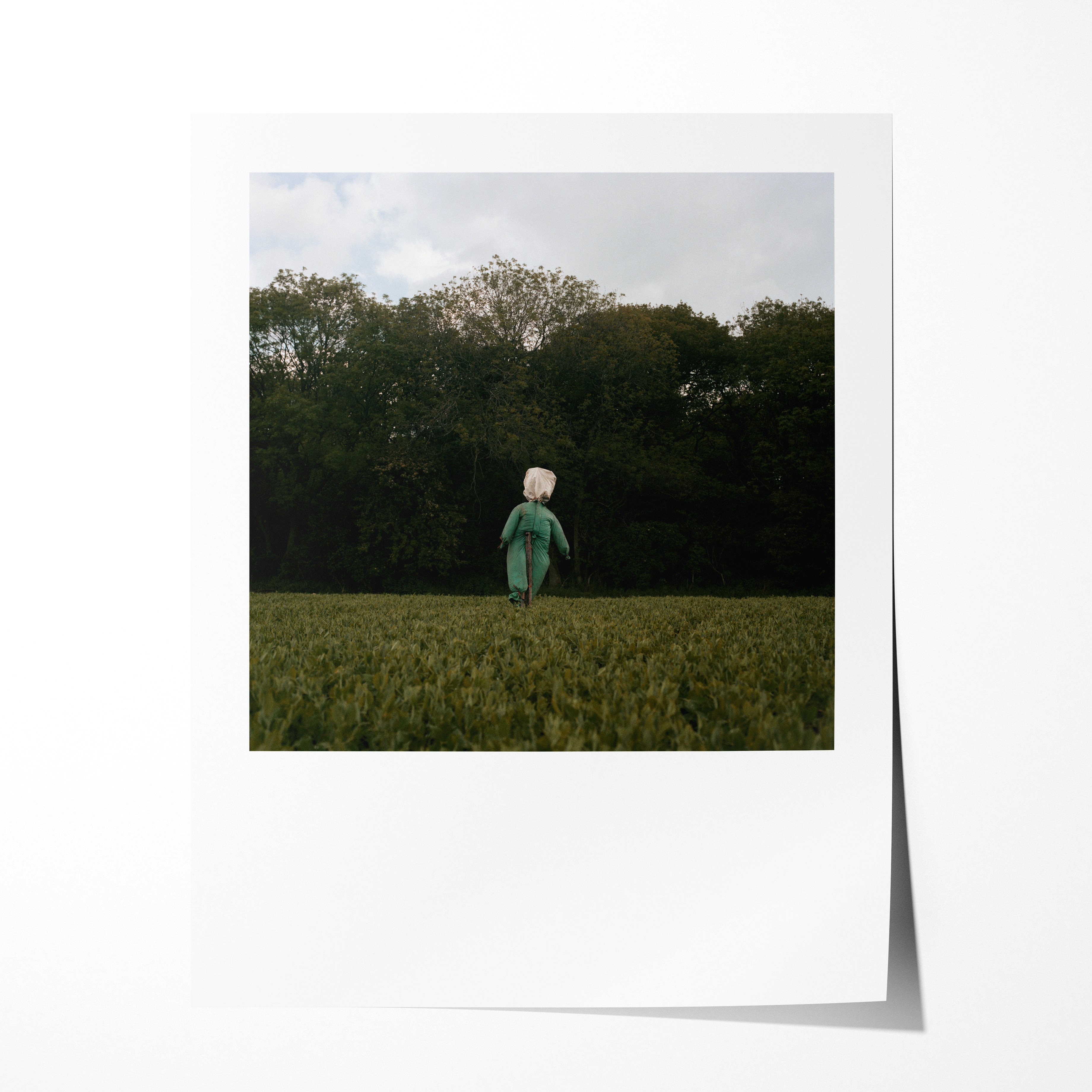 Scarecrow 07