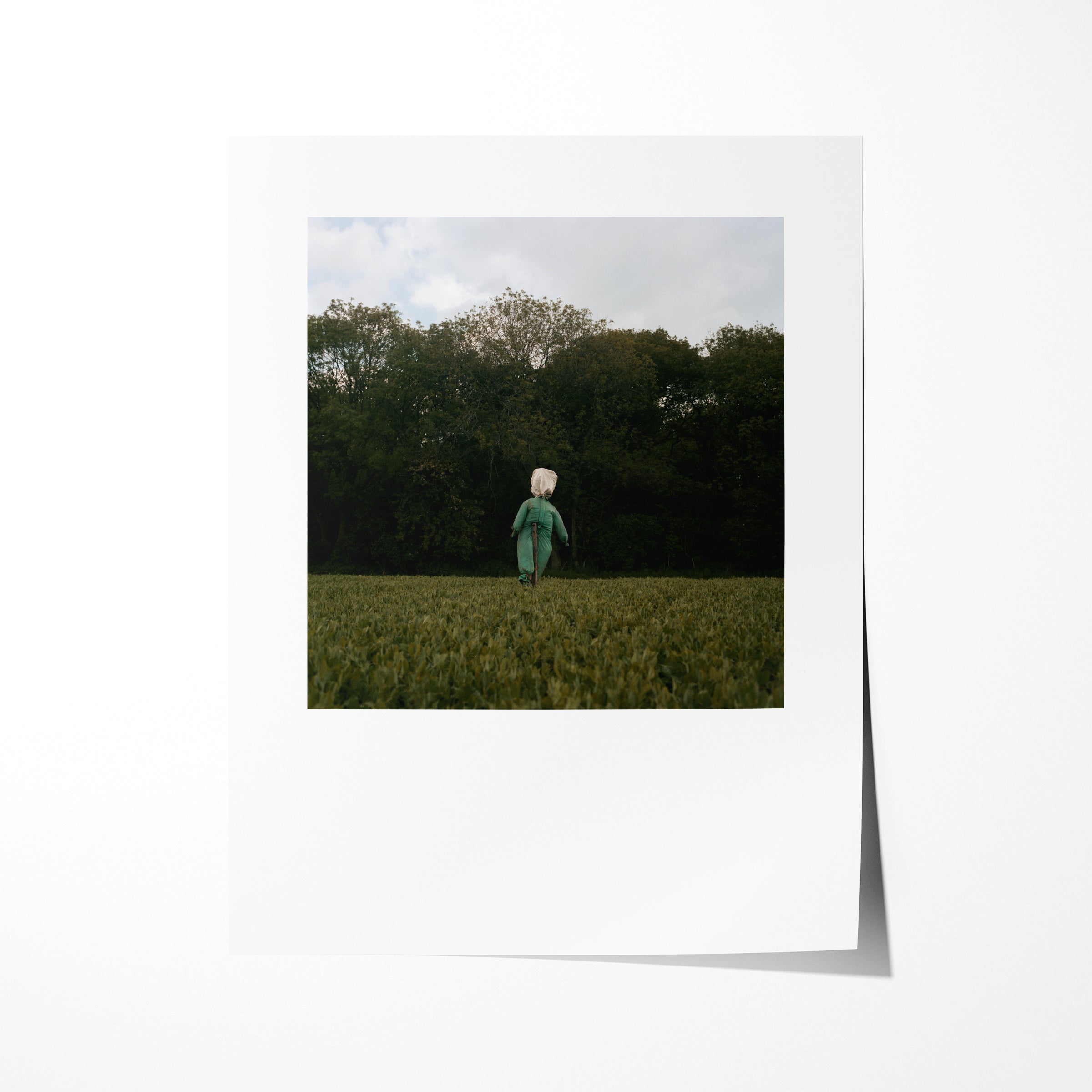 Scarecrow 07