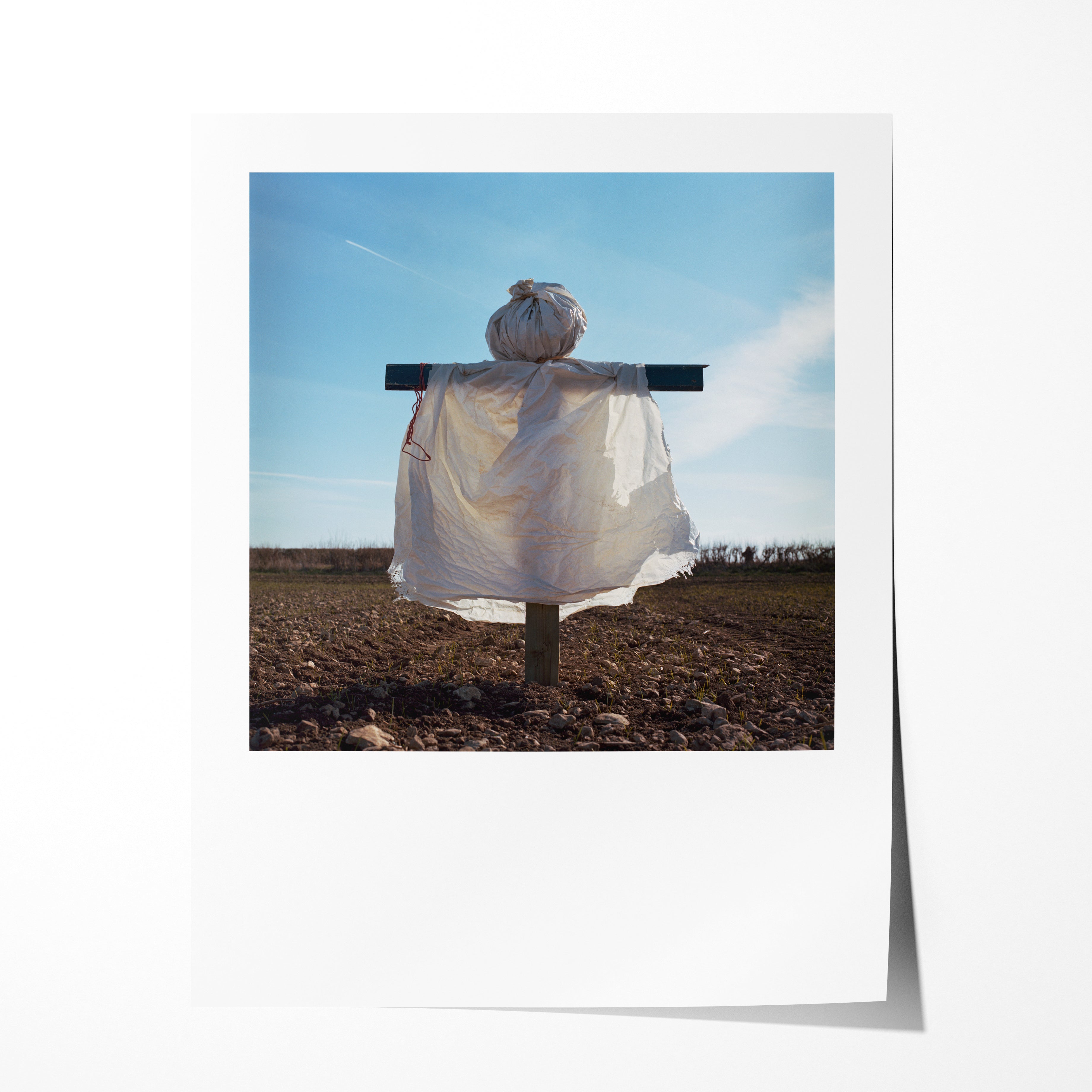 Scarecrow 10