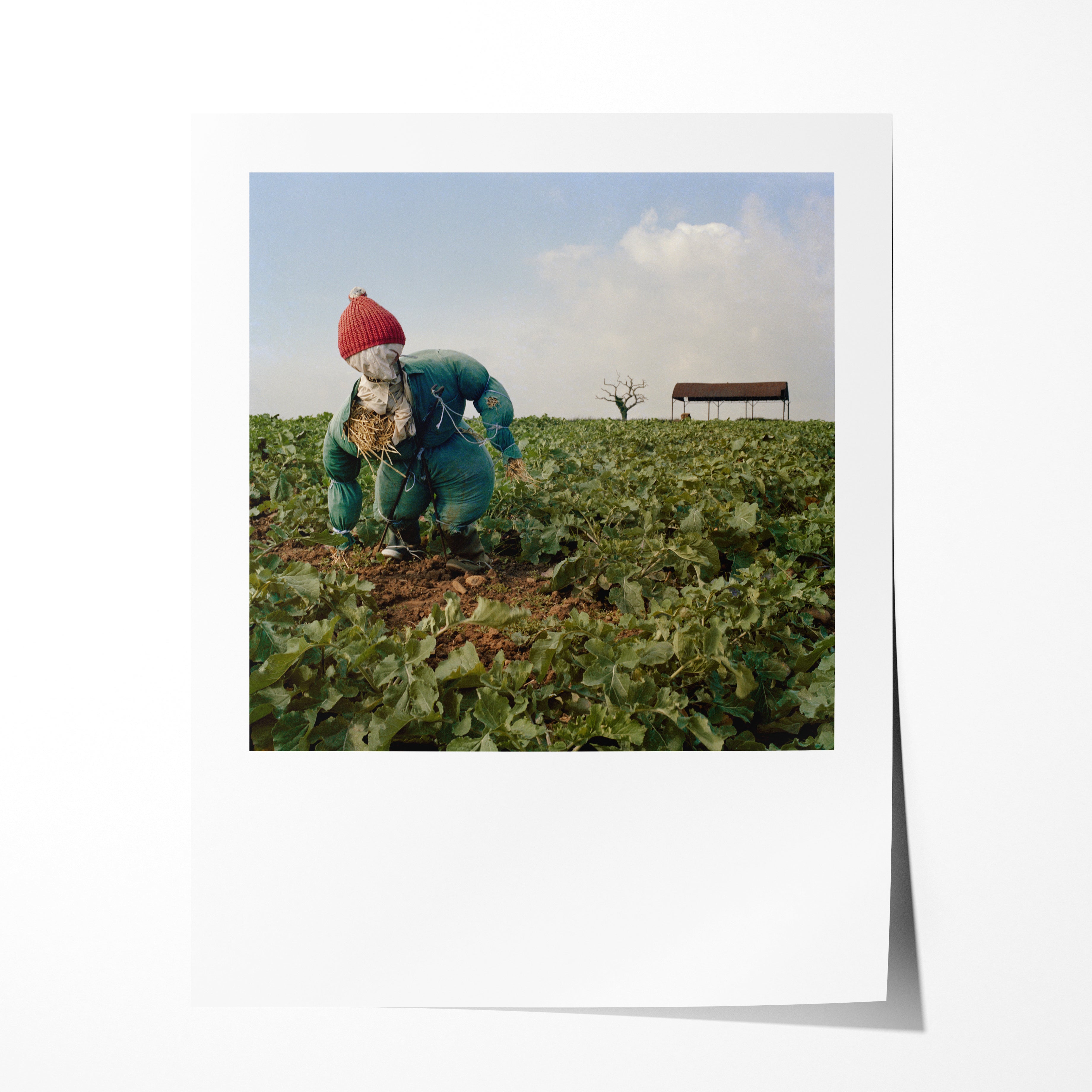 Scarecrow 11
