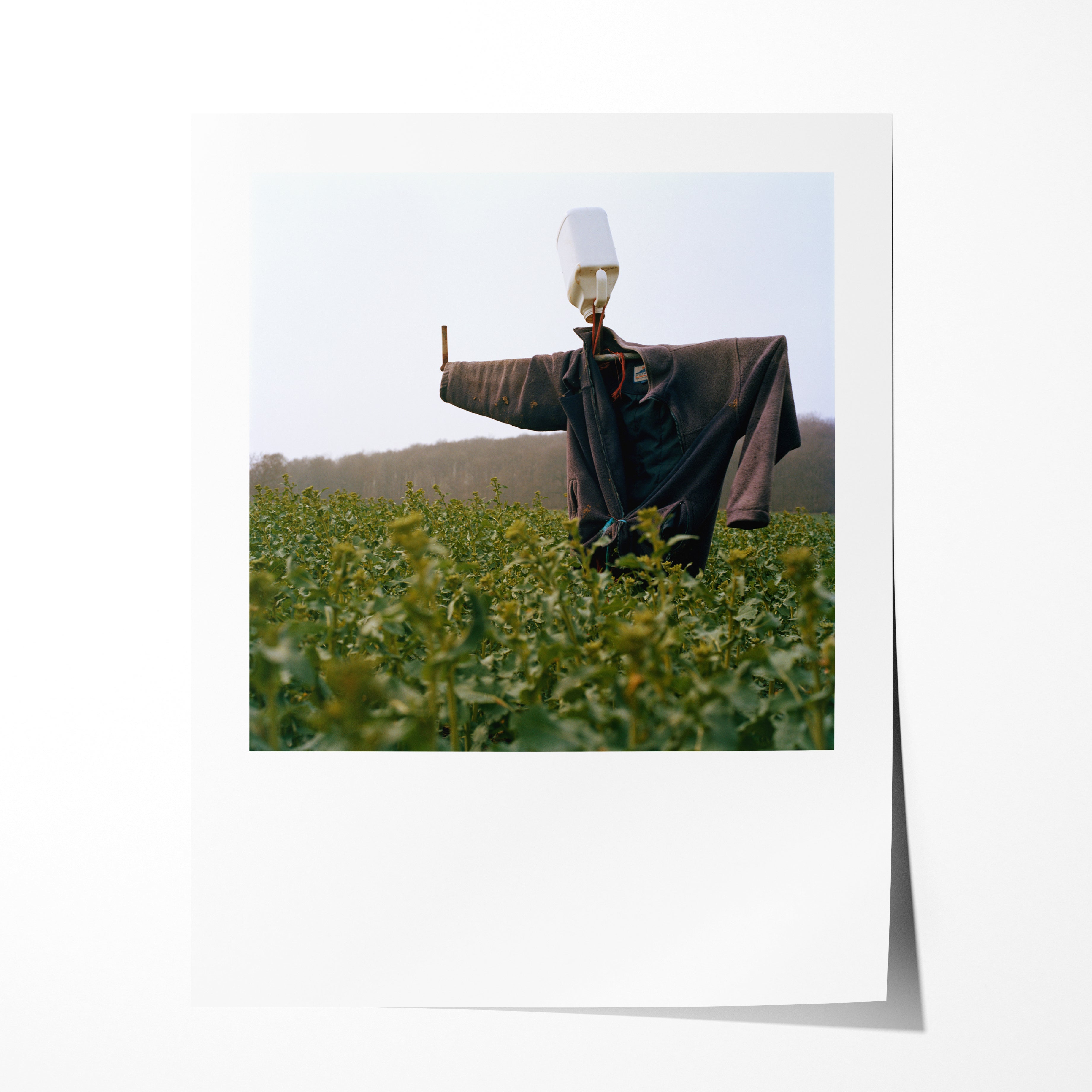 Scarecrow 12