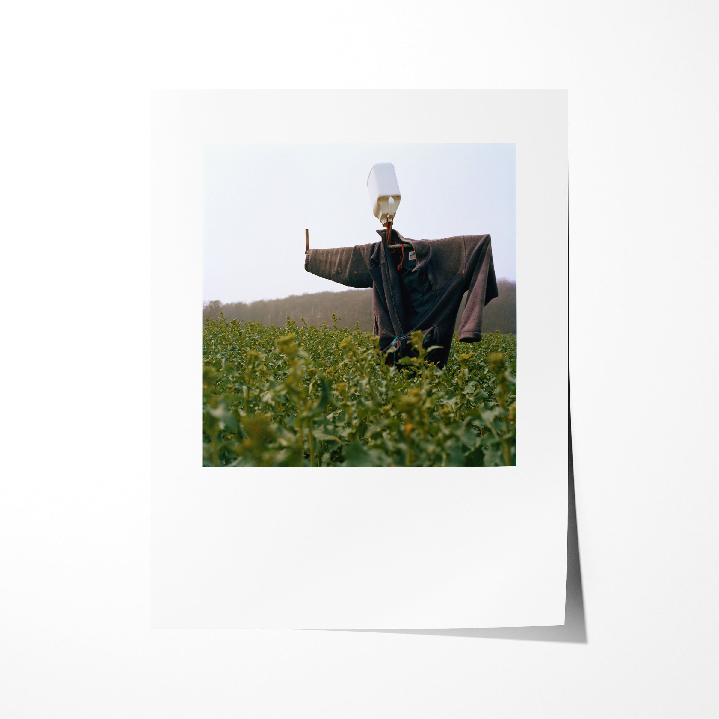Scarecrow 12