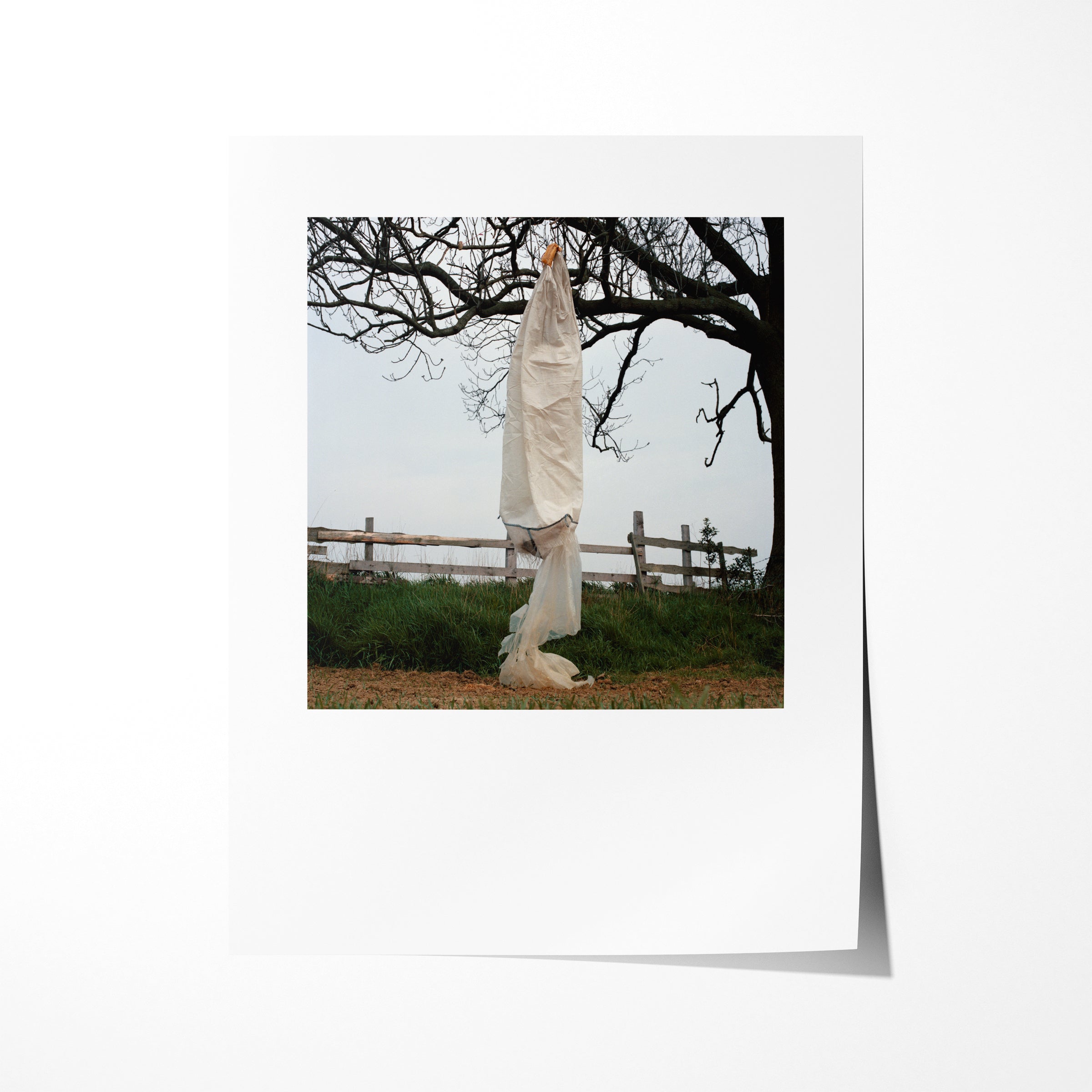 Scarecrow 16
