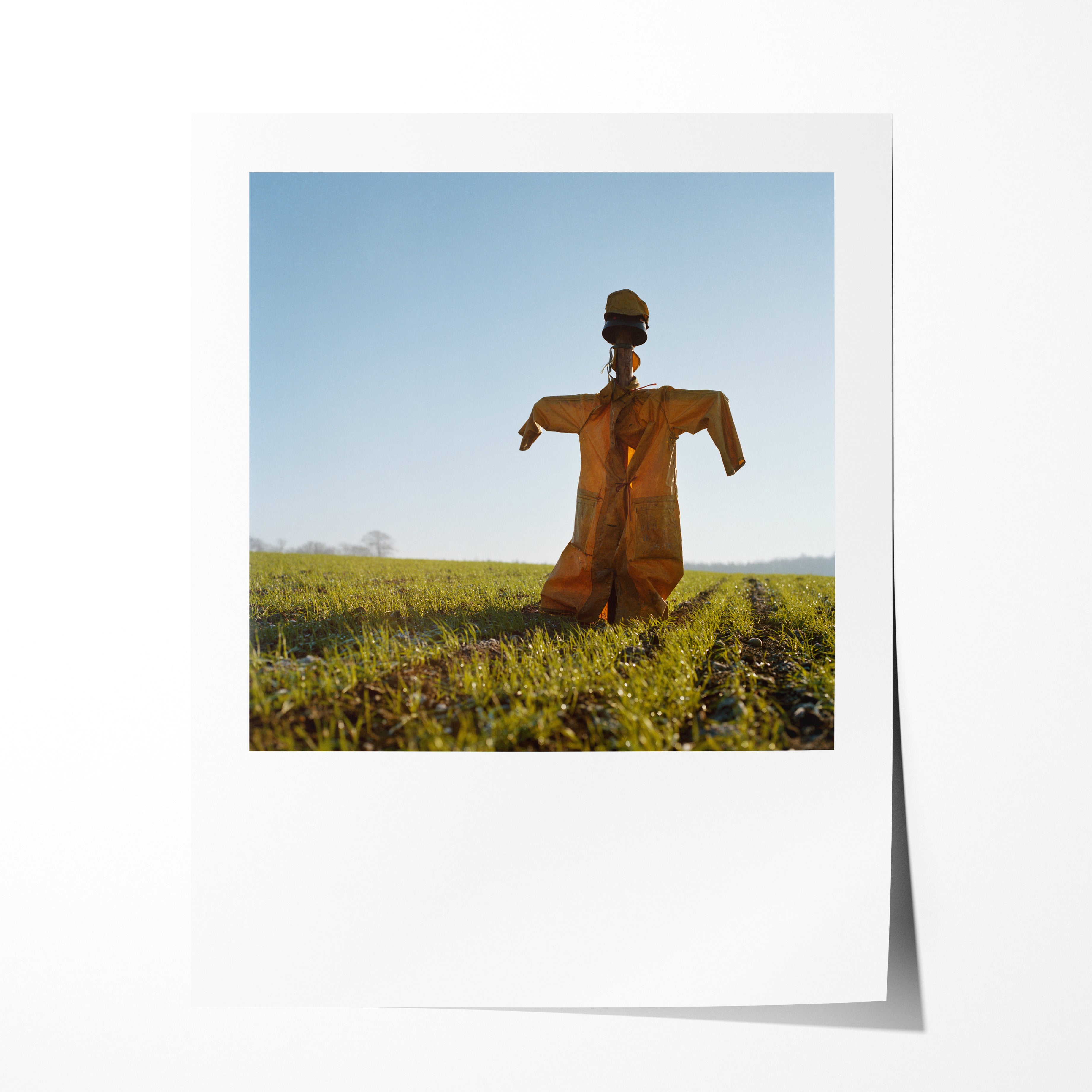 Scarecrow 19