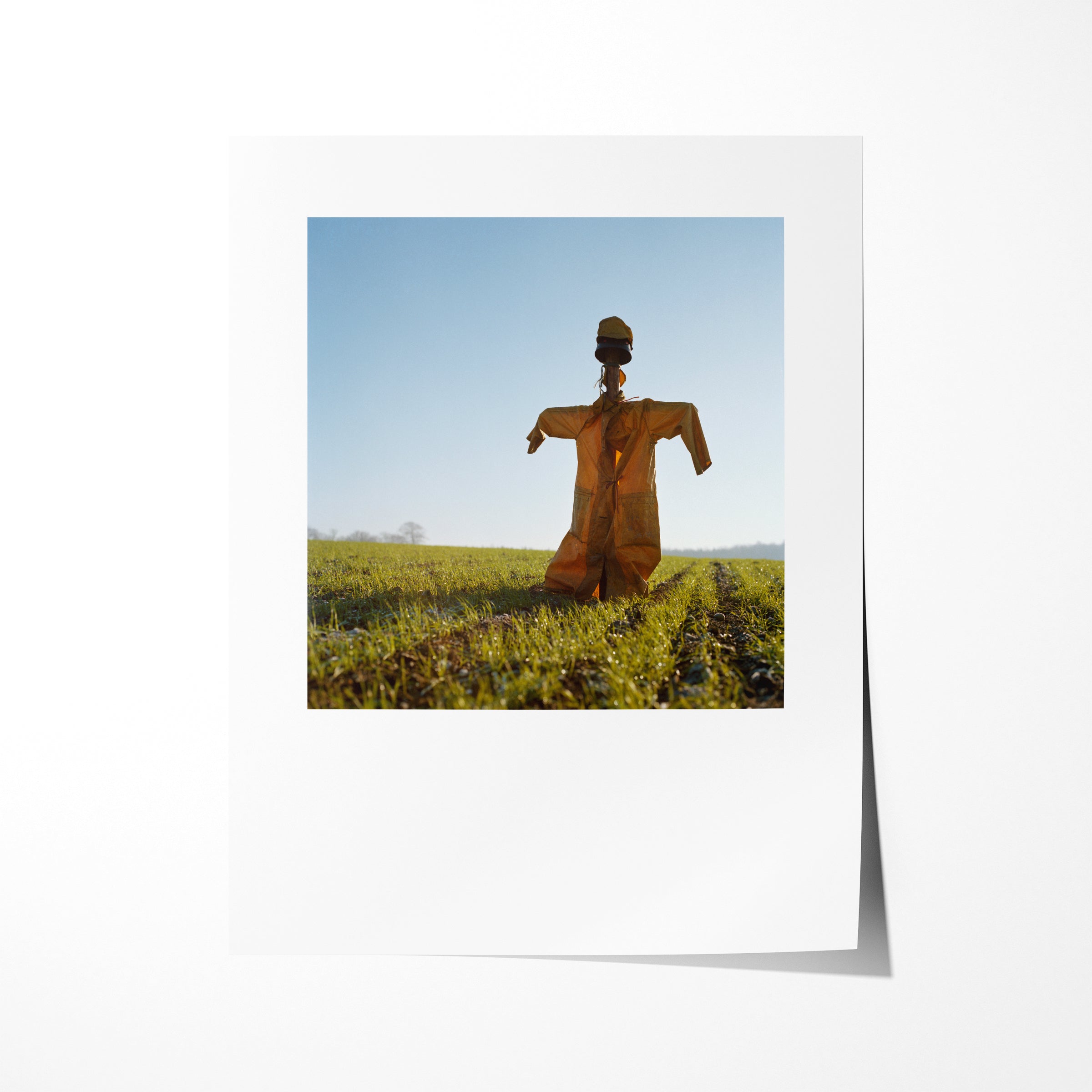 Scarecrow 19