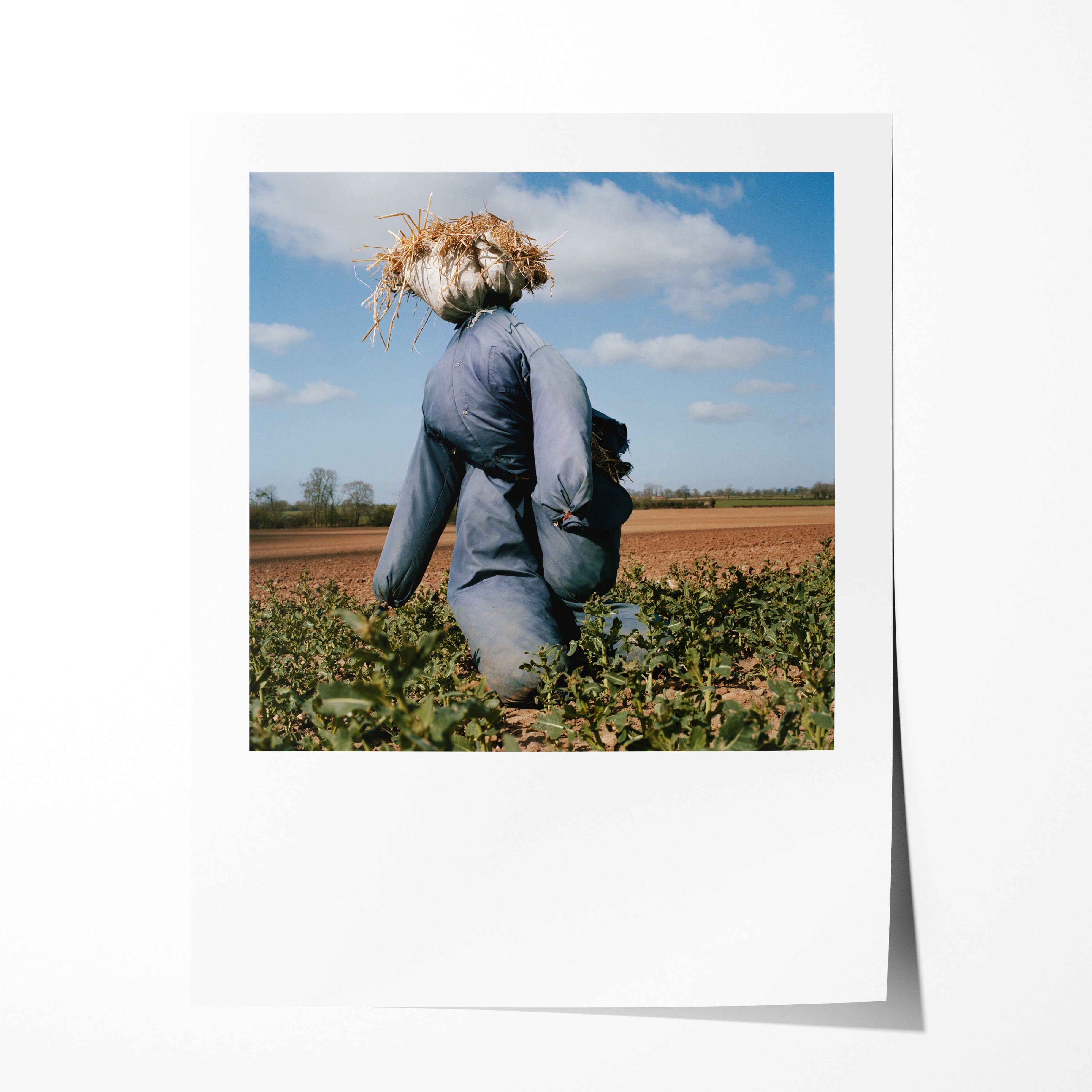 Scarecrow 21