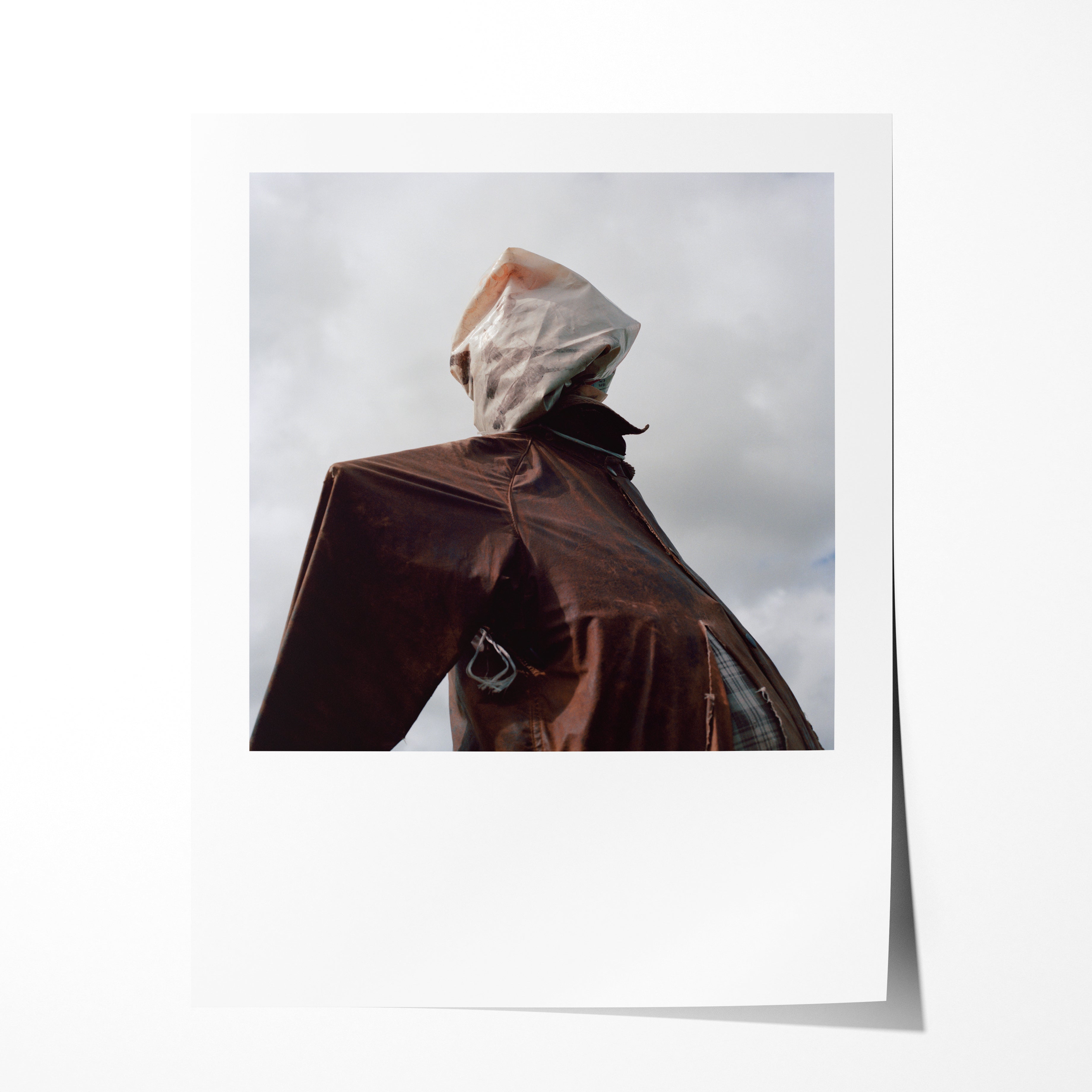 Scarecrow 23