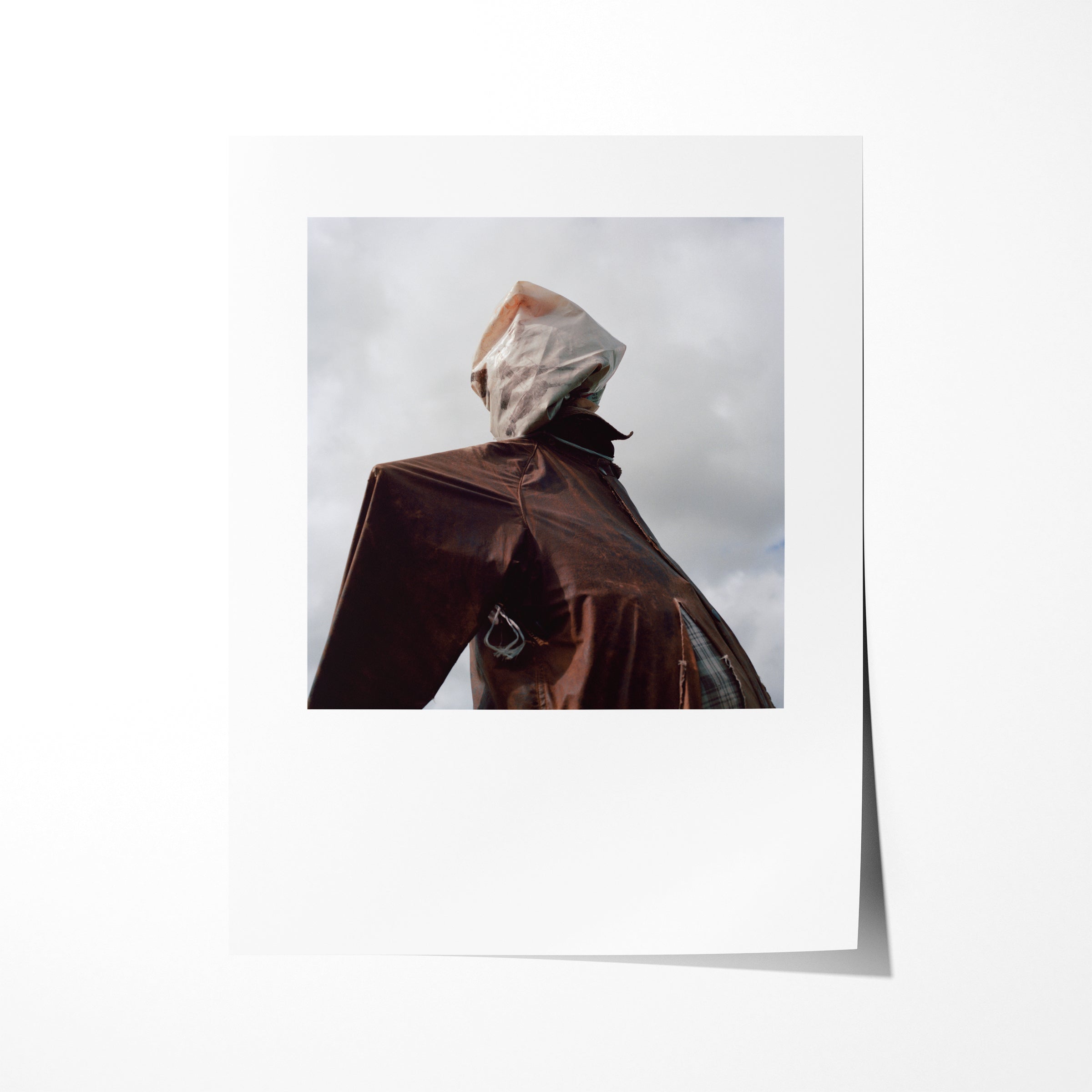 Scarecrow 23