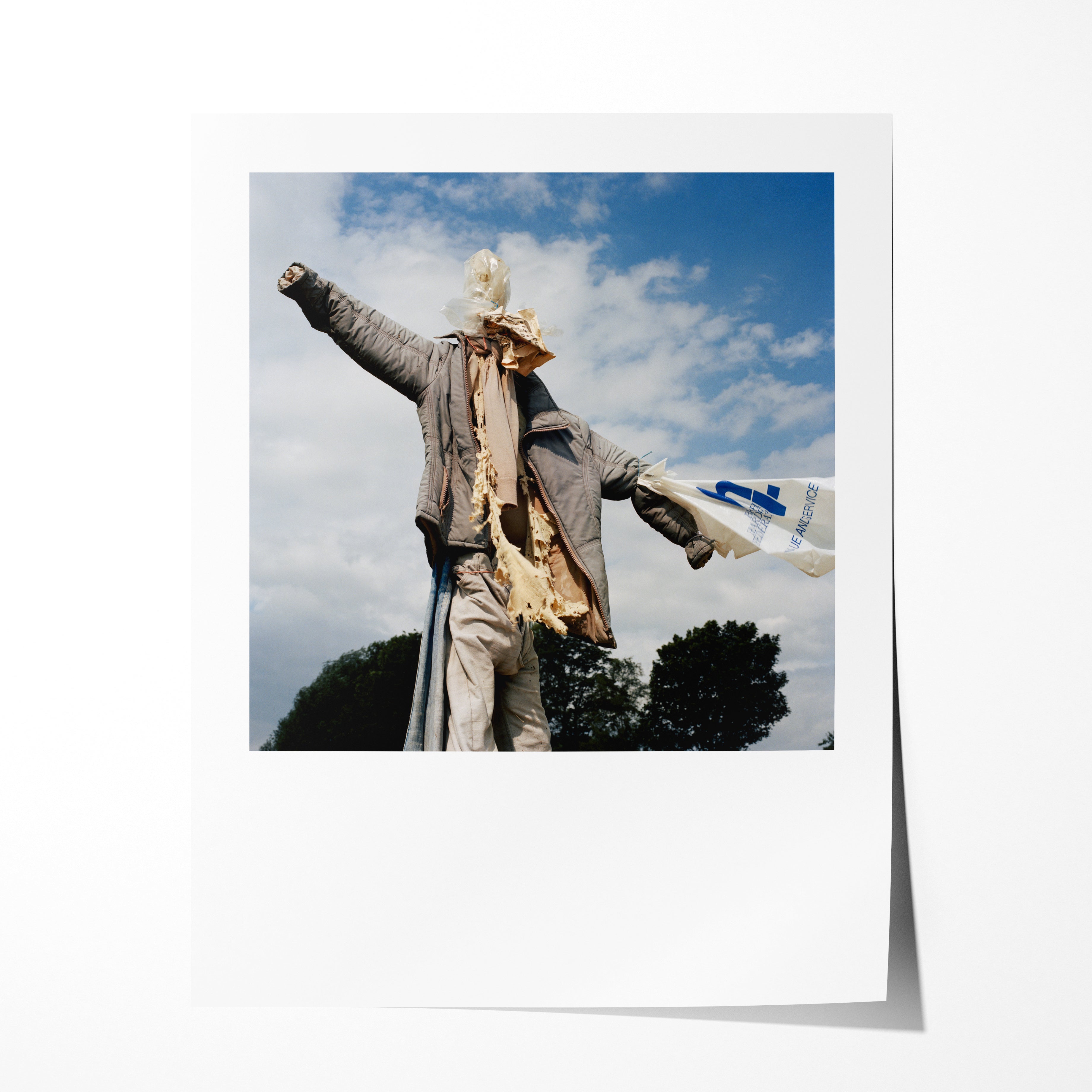 Scarecrow 24