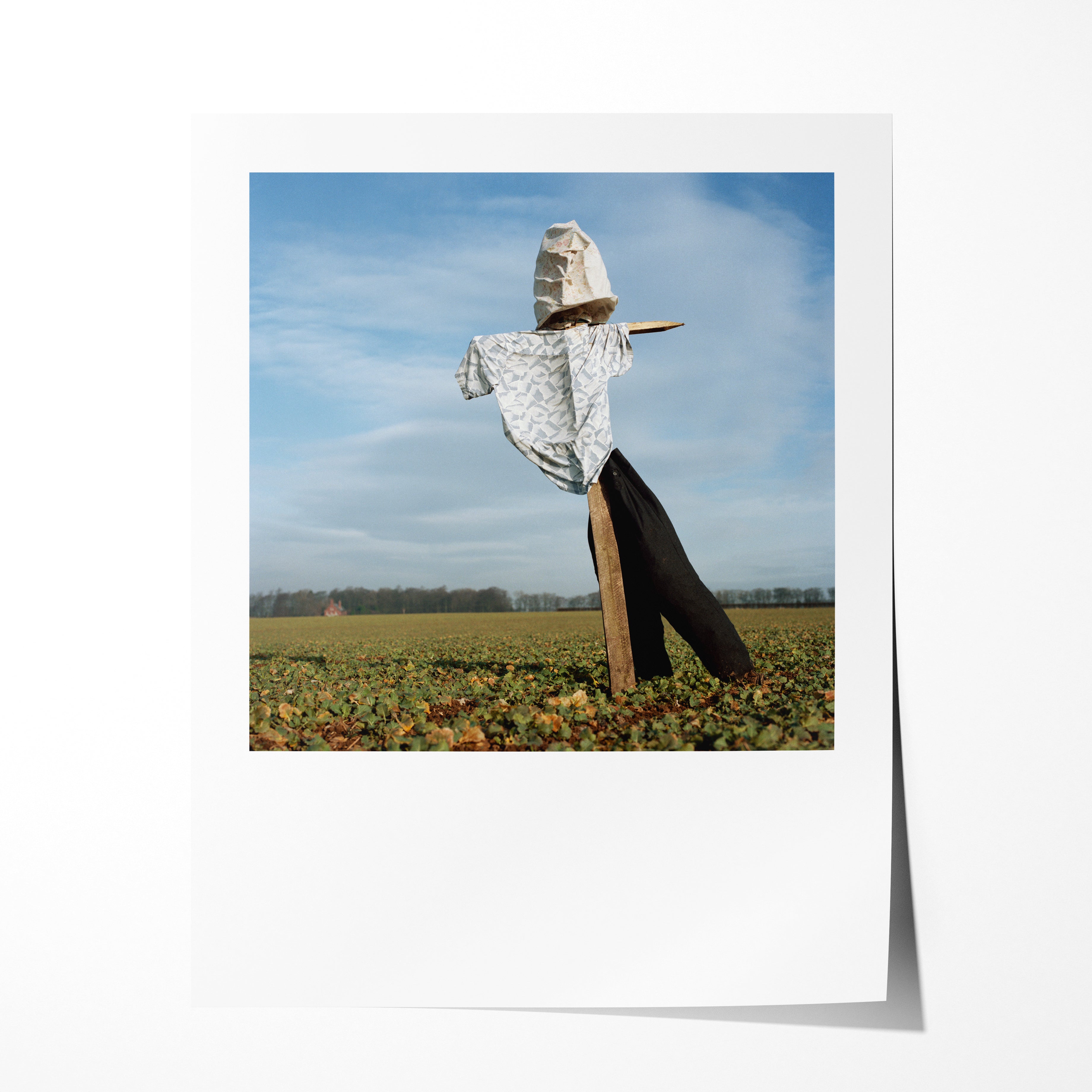 Scarecrow 26