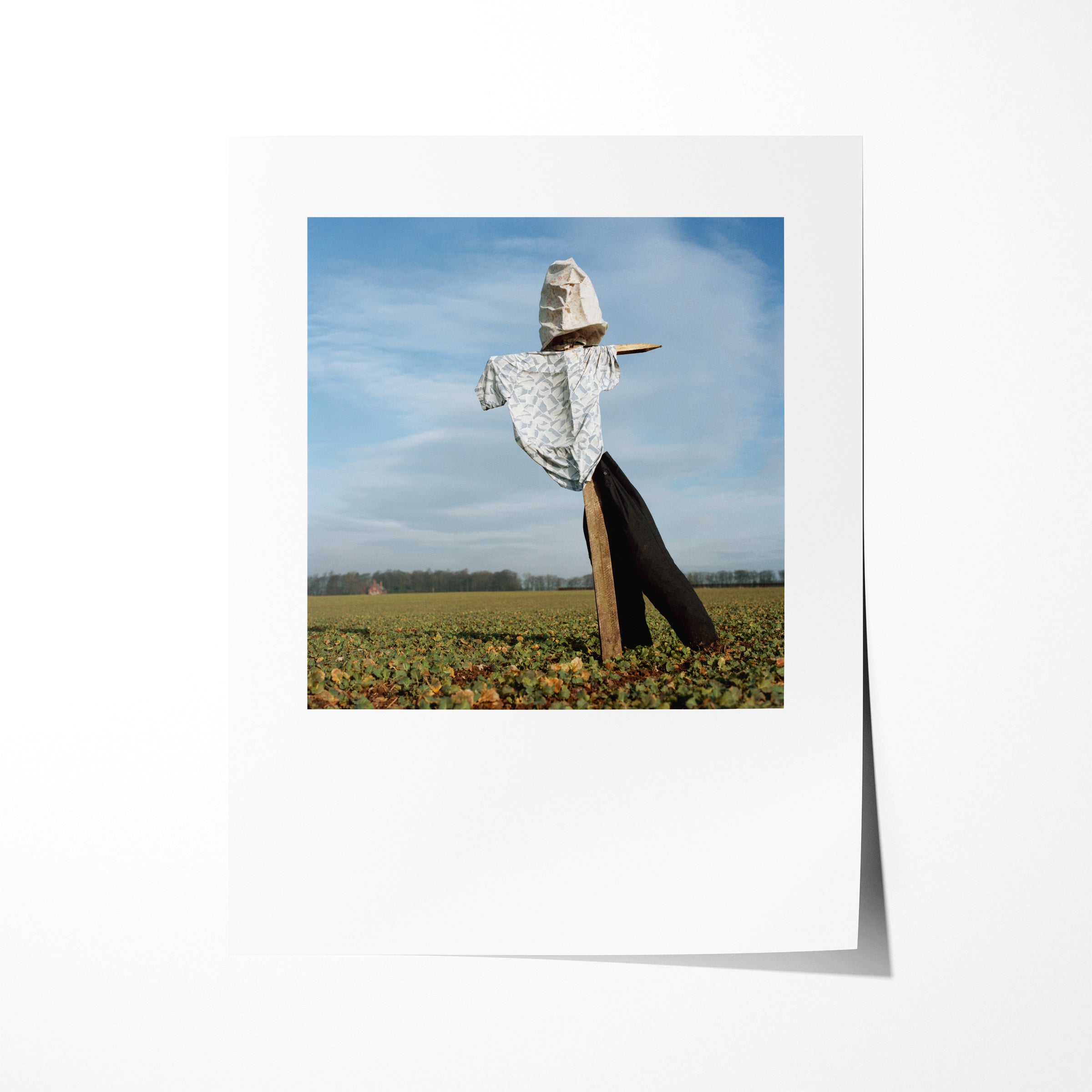 Scarecrow 26