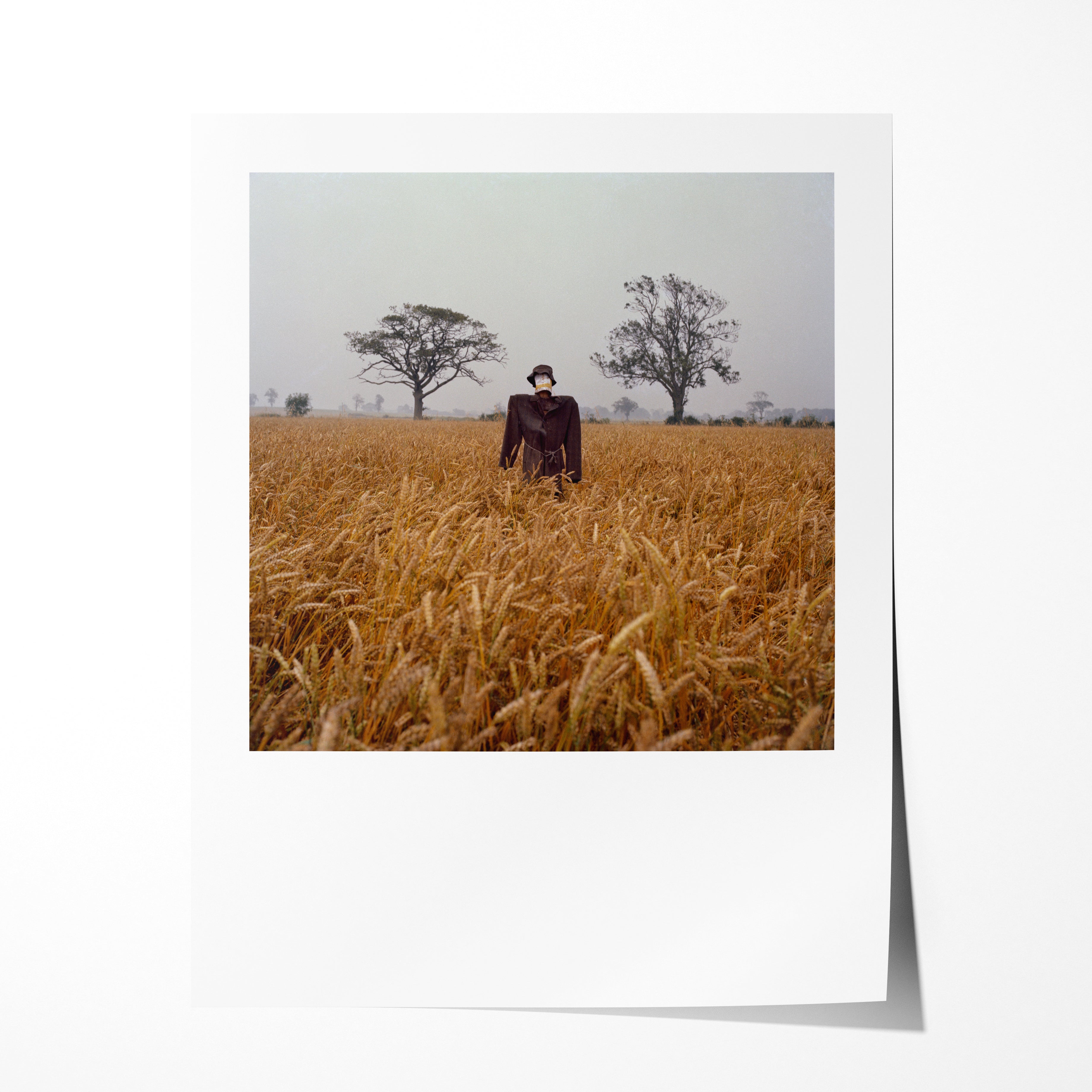 Scarecrow 29