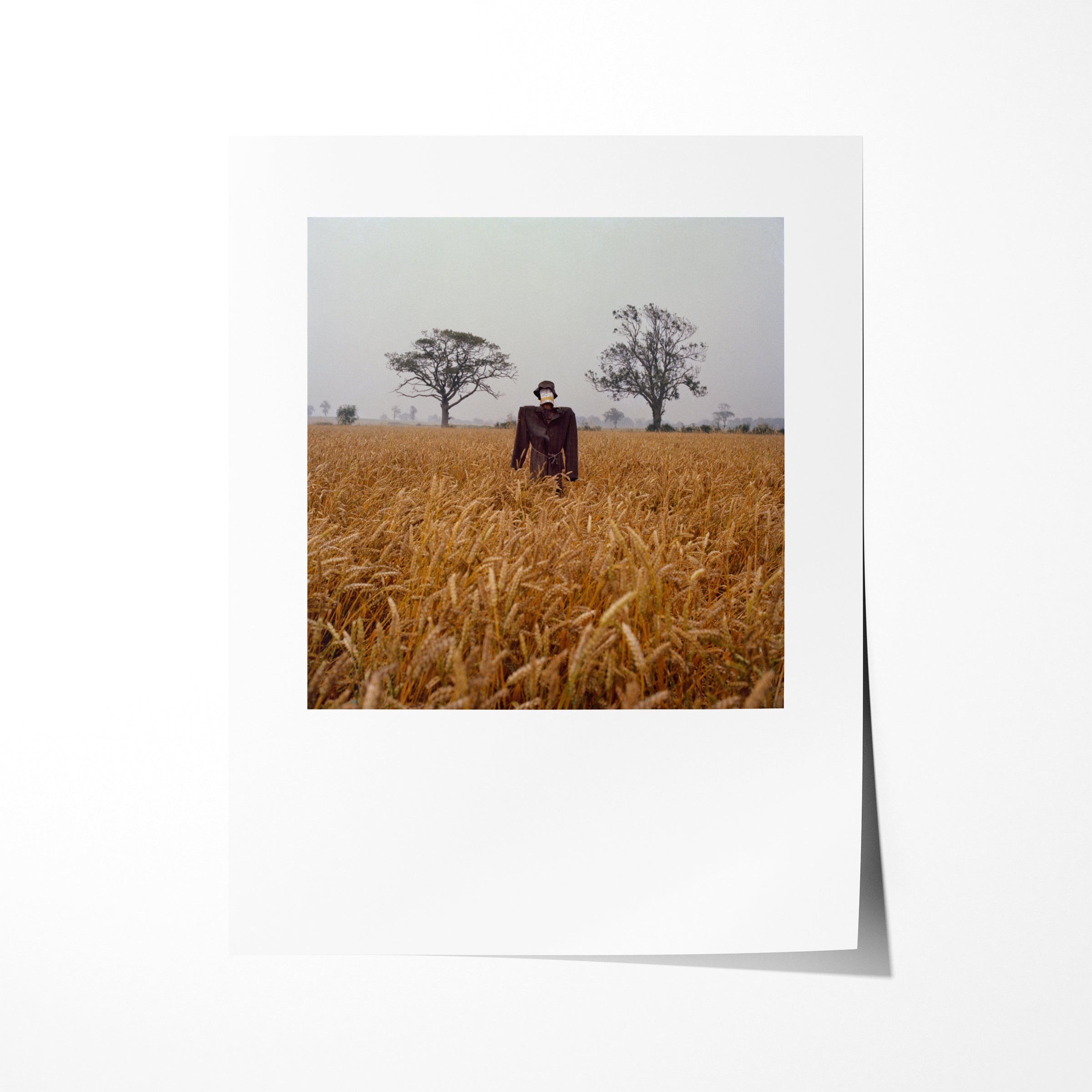 Scarecrow 29