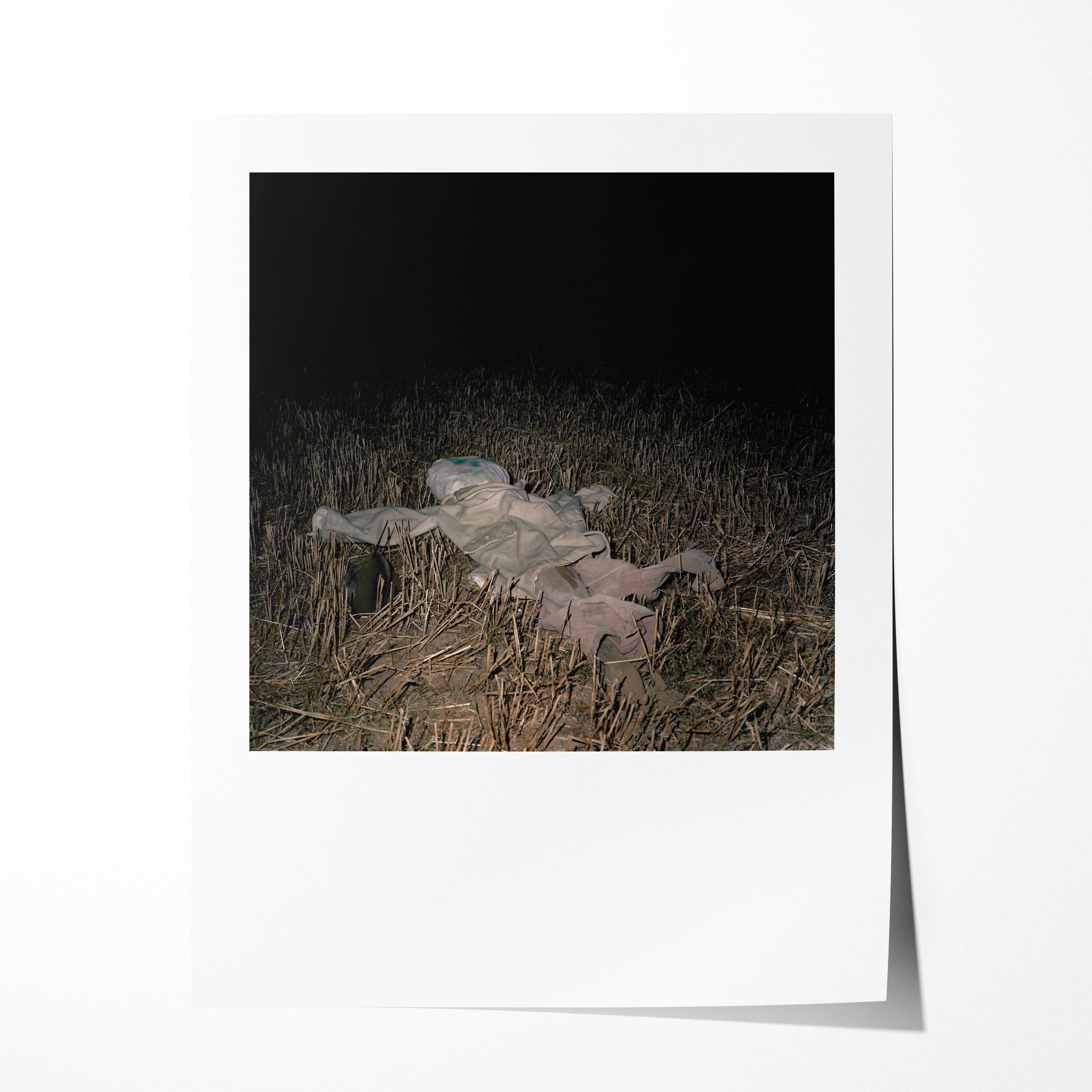 Scarecrow 36