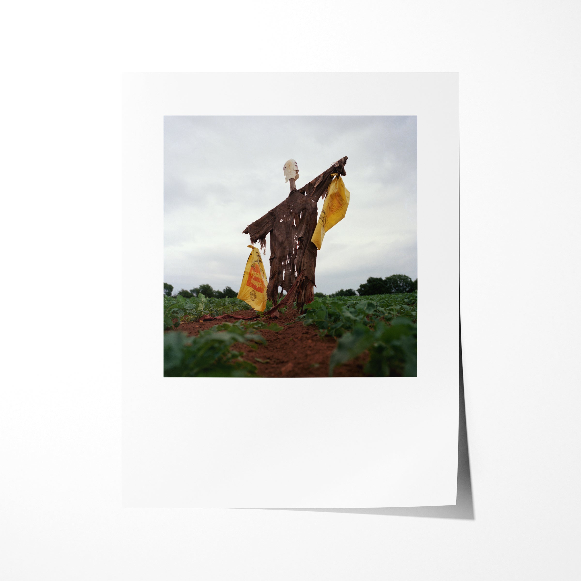 Scarecrow 38