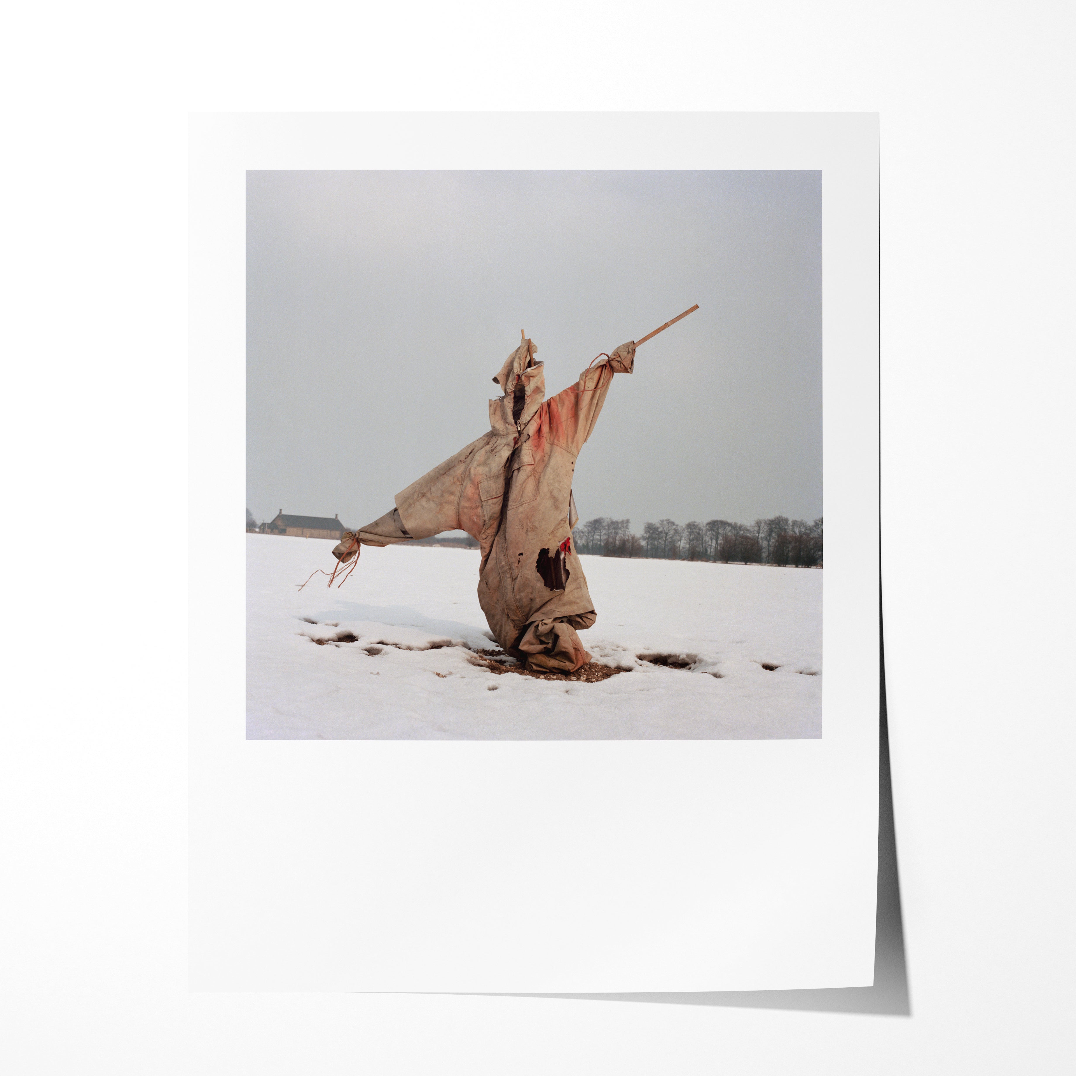 Scarecrow 39