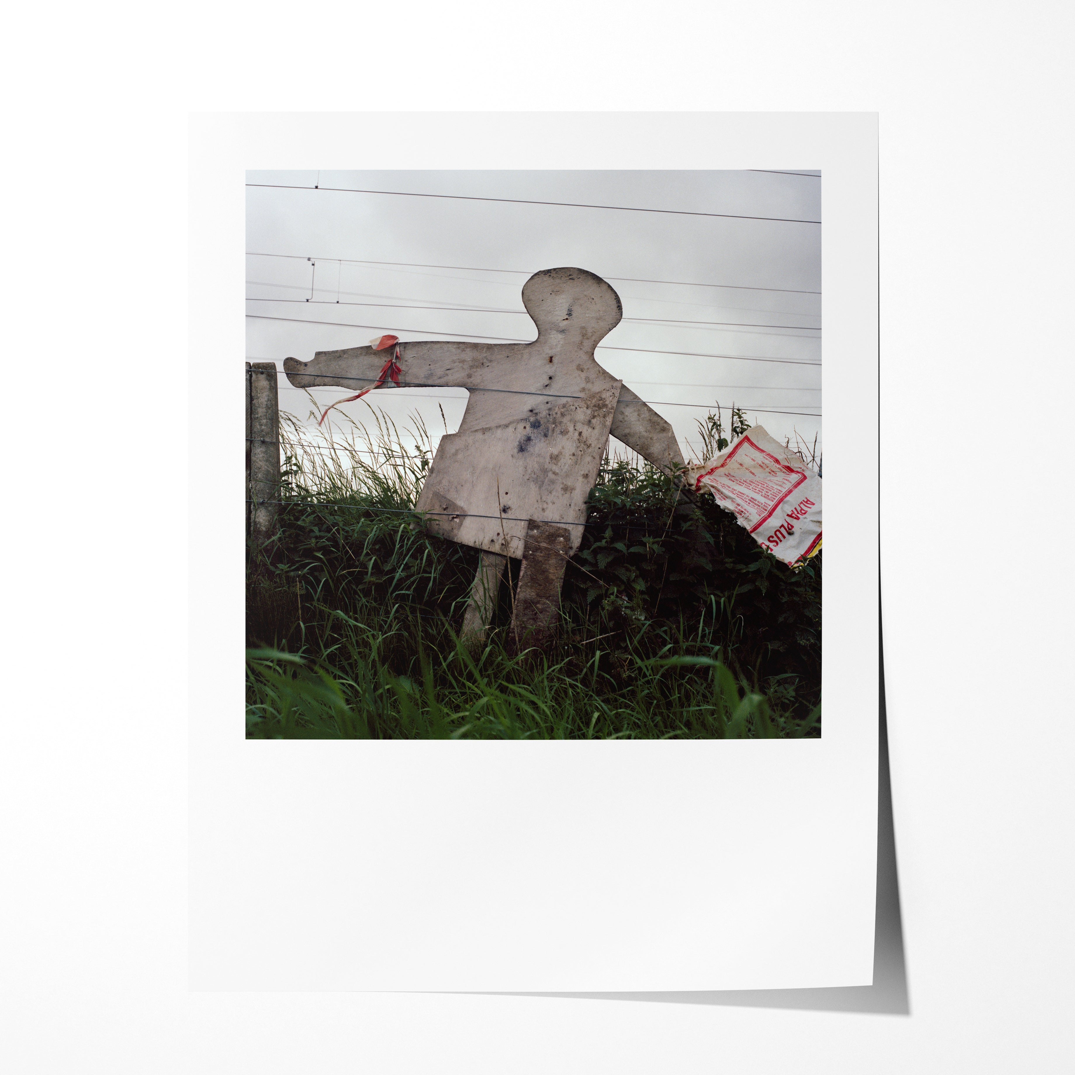 Scarecrow 40