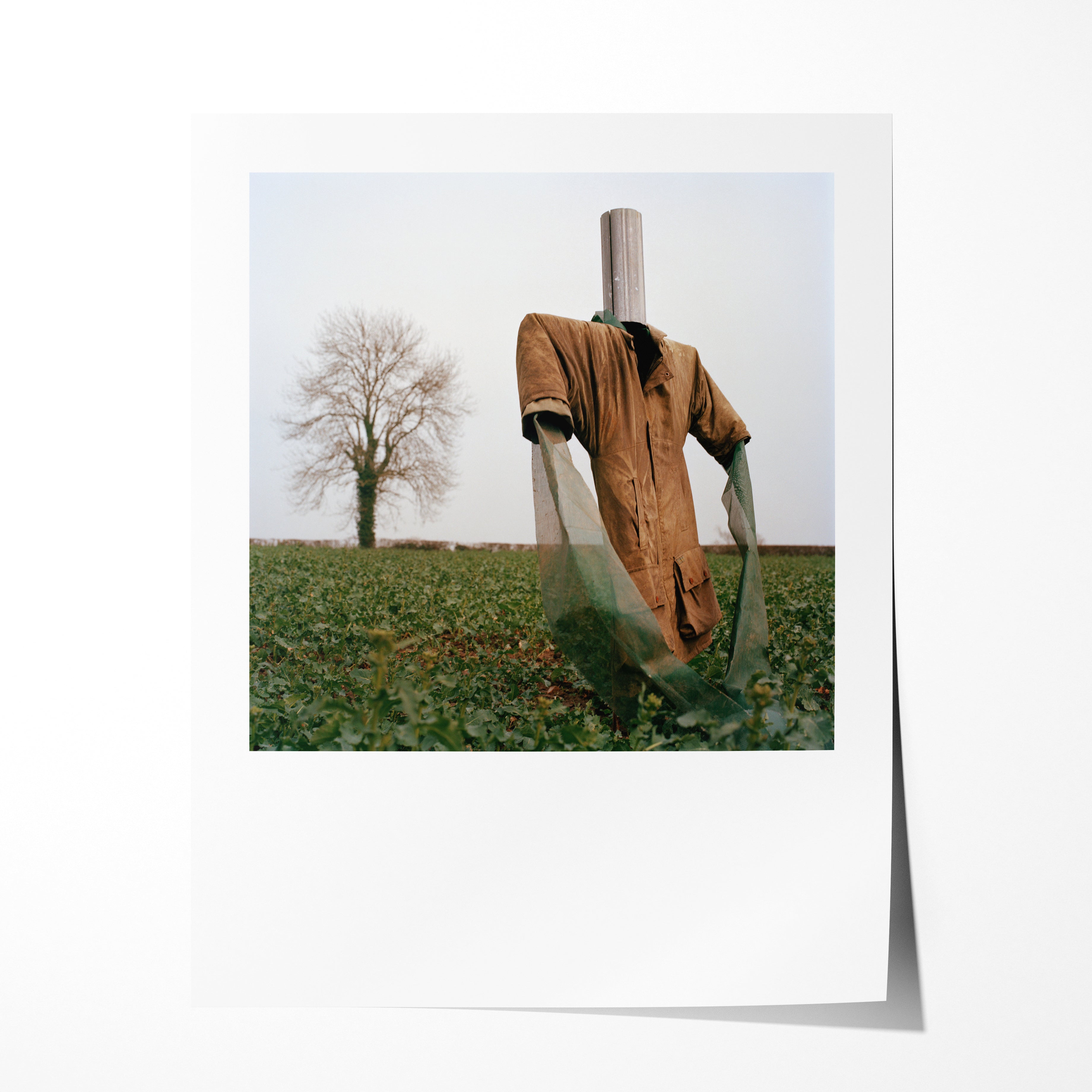 Scarecrow 44