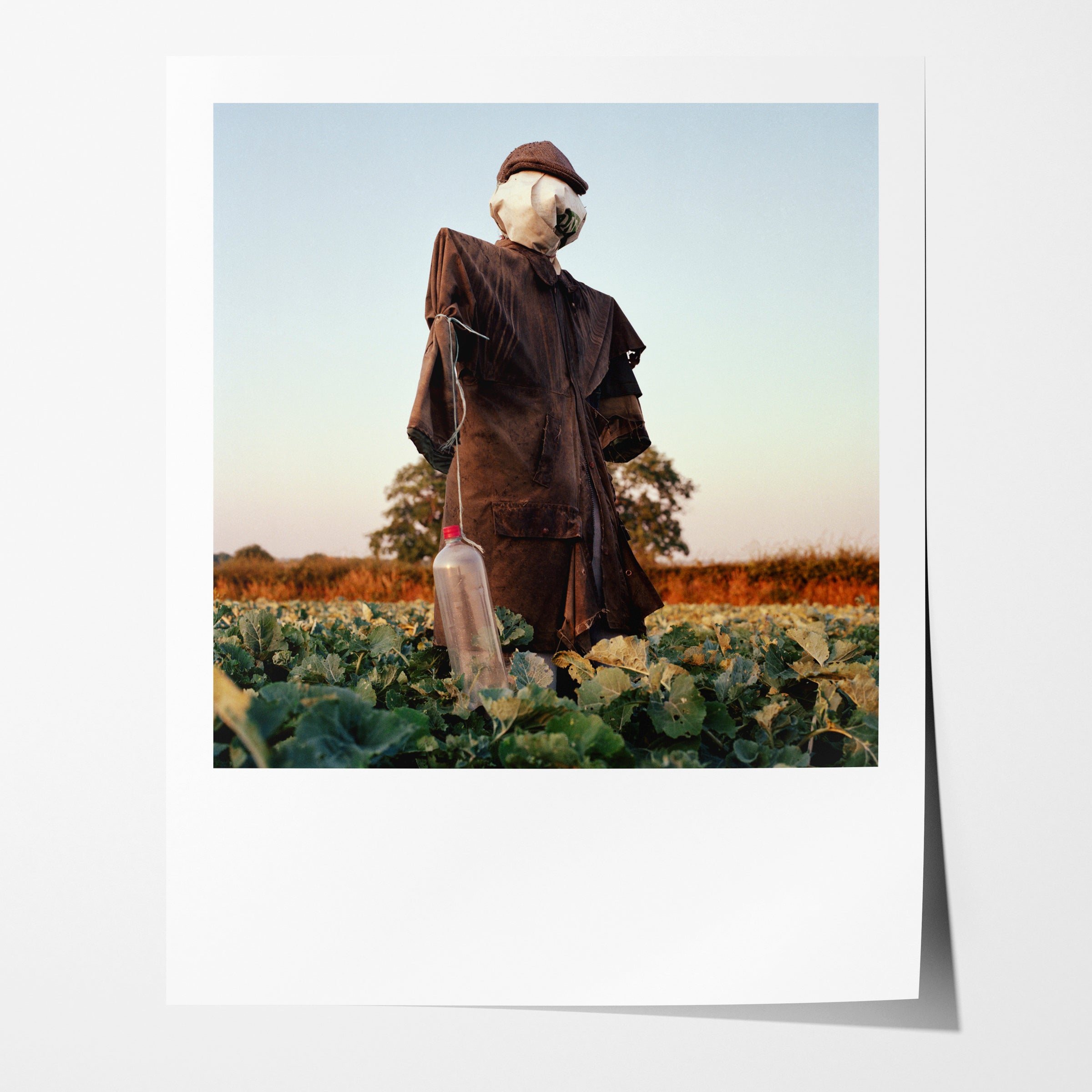 Scarecrow 51