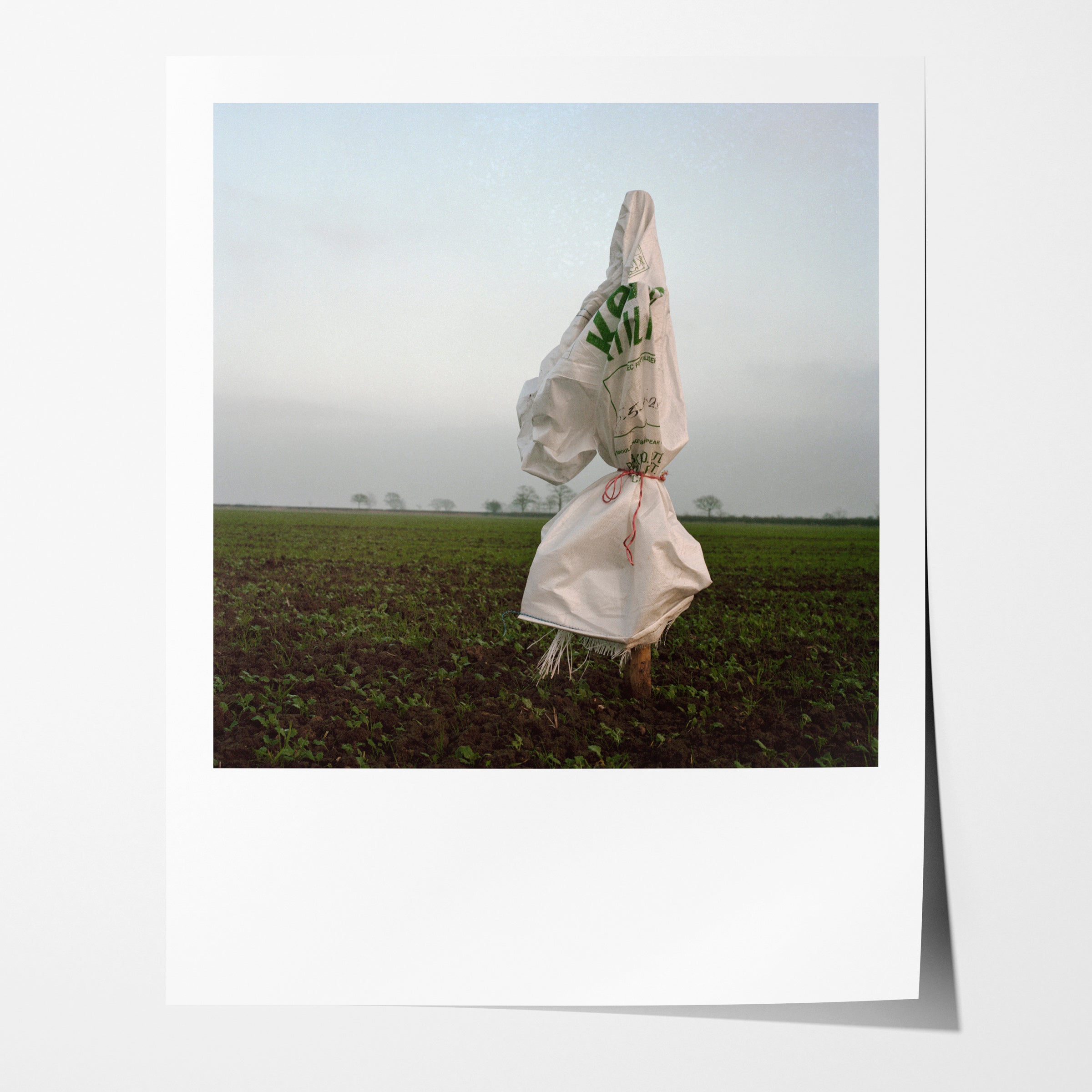 Scarecrow 53