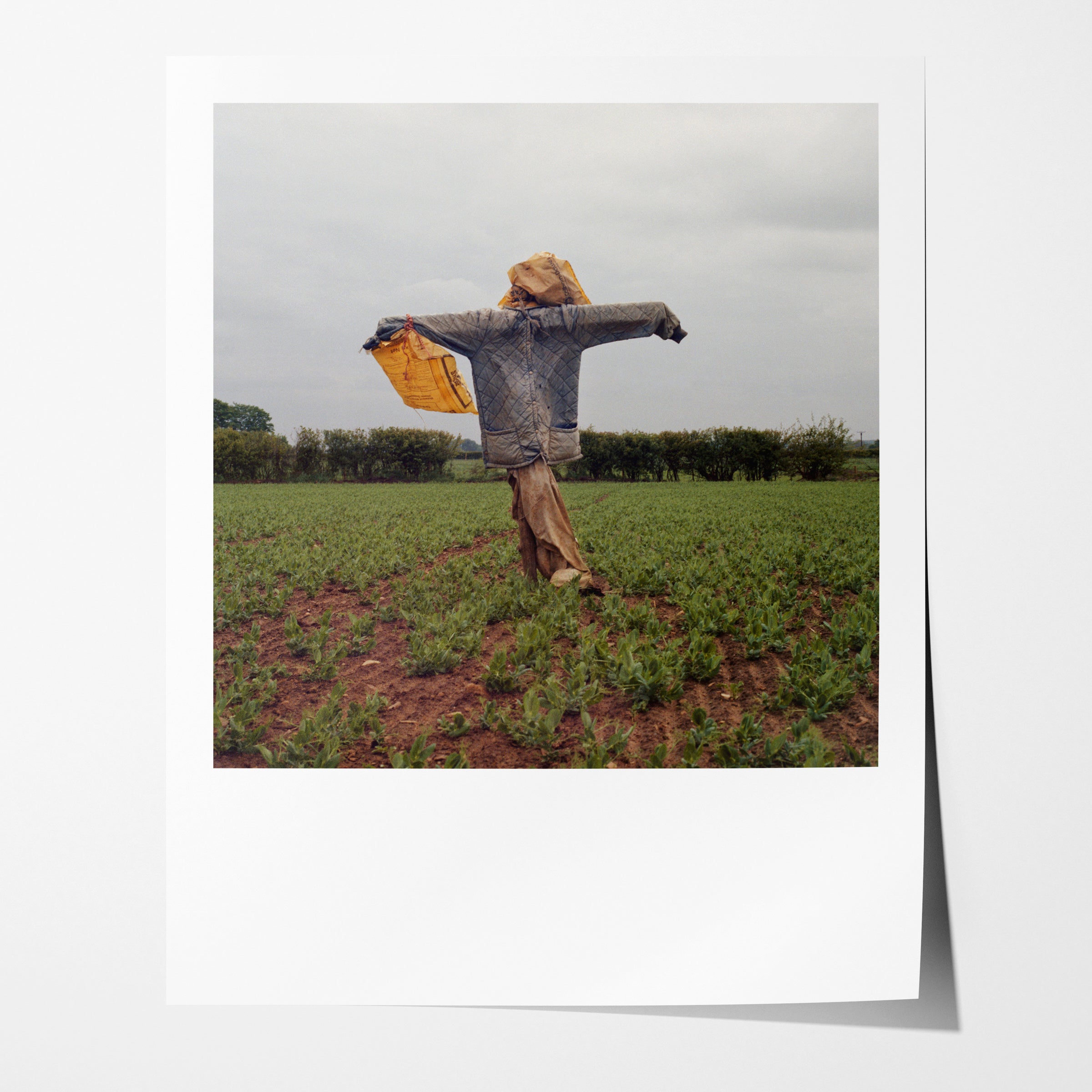 Scarecrow 59
