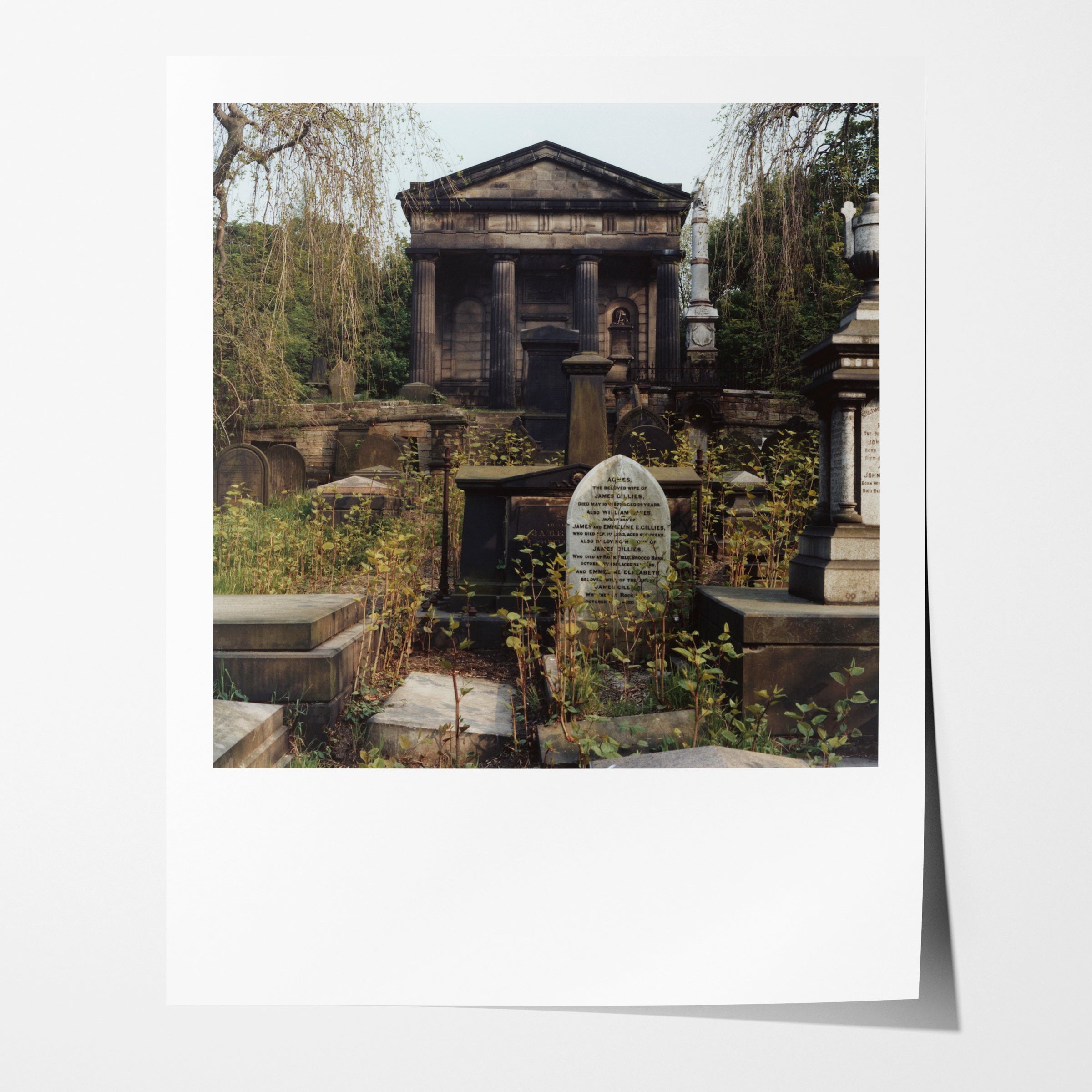 The General Cemetary, Sheffield, 1978