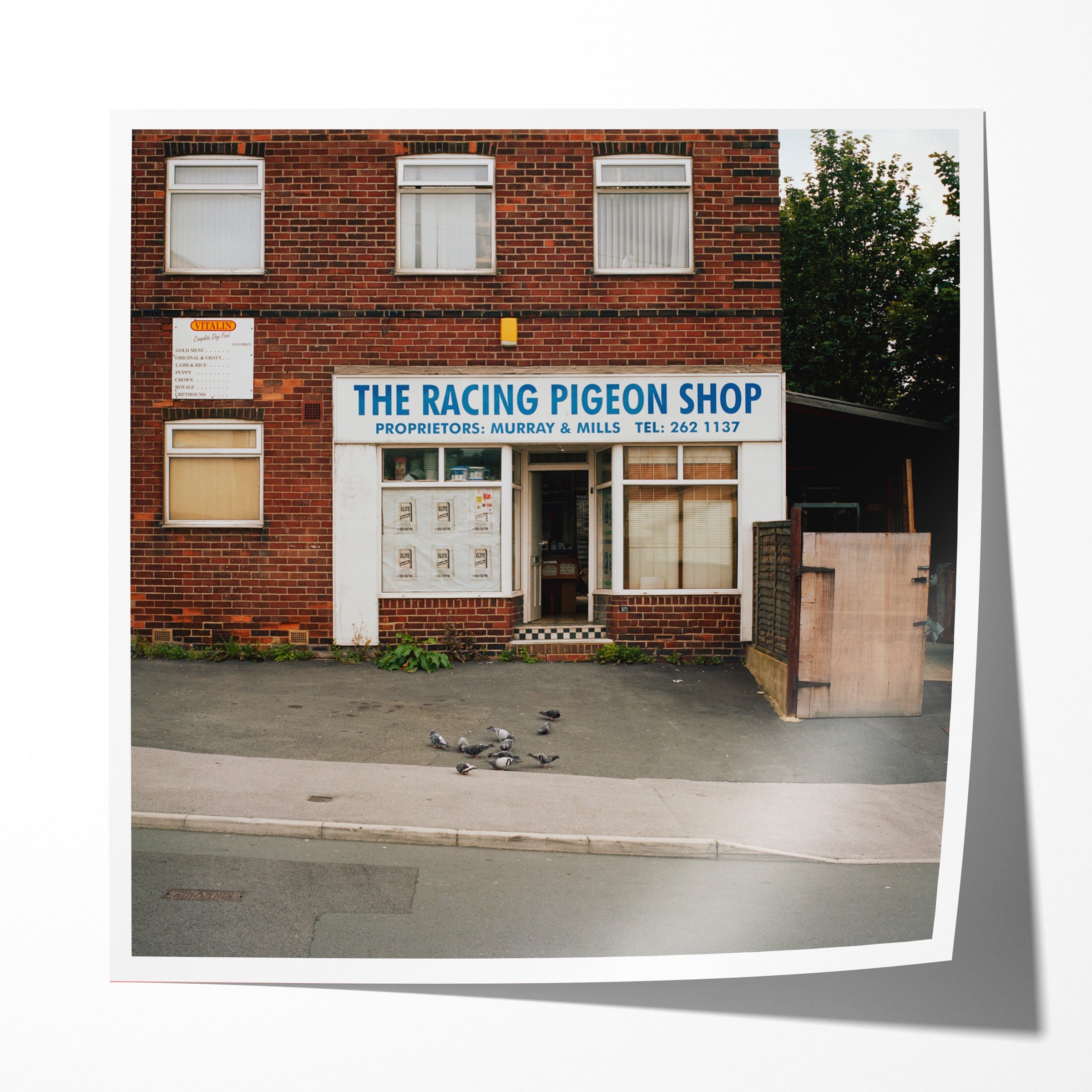 Racing Pigeon Shop (ii), Blake Grove, Leeds, Summer 2009