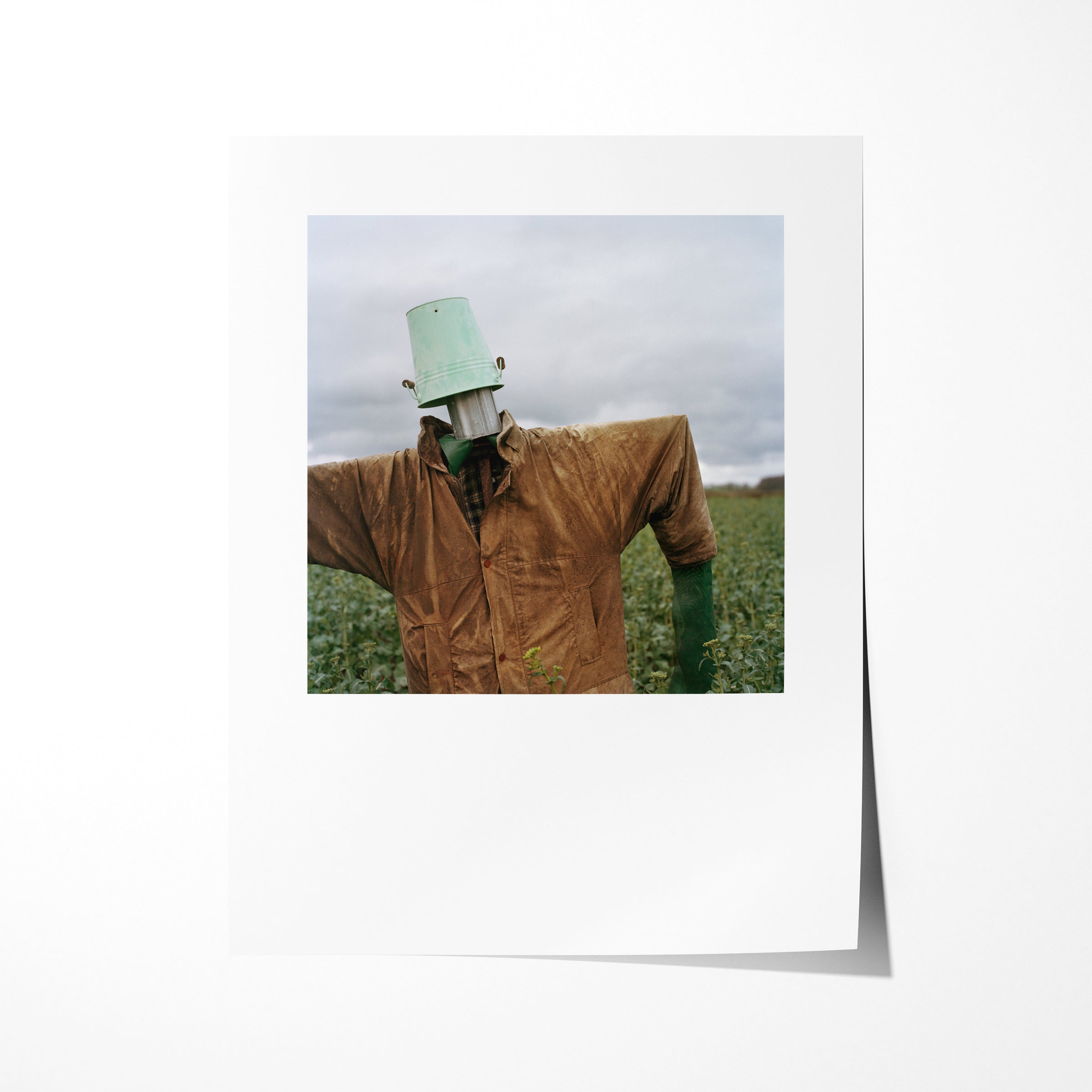 Scarecrow 14 - 7x9" Print