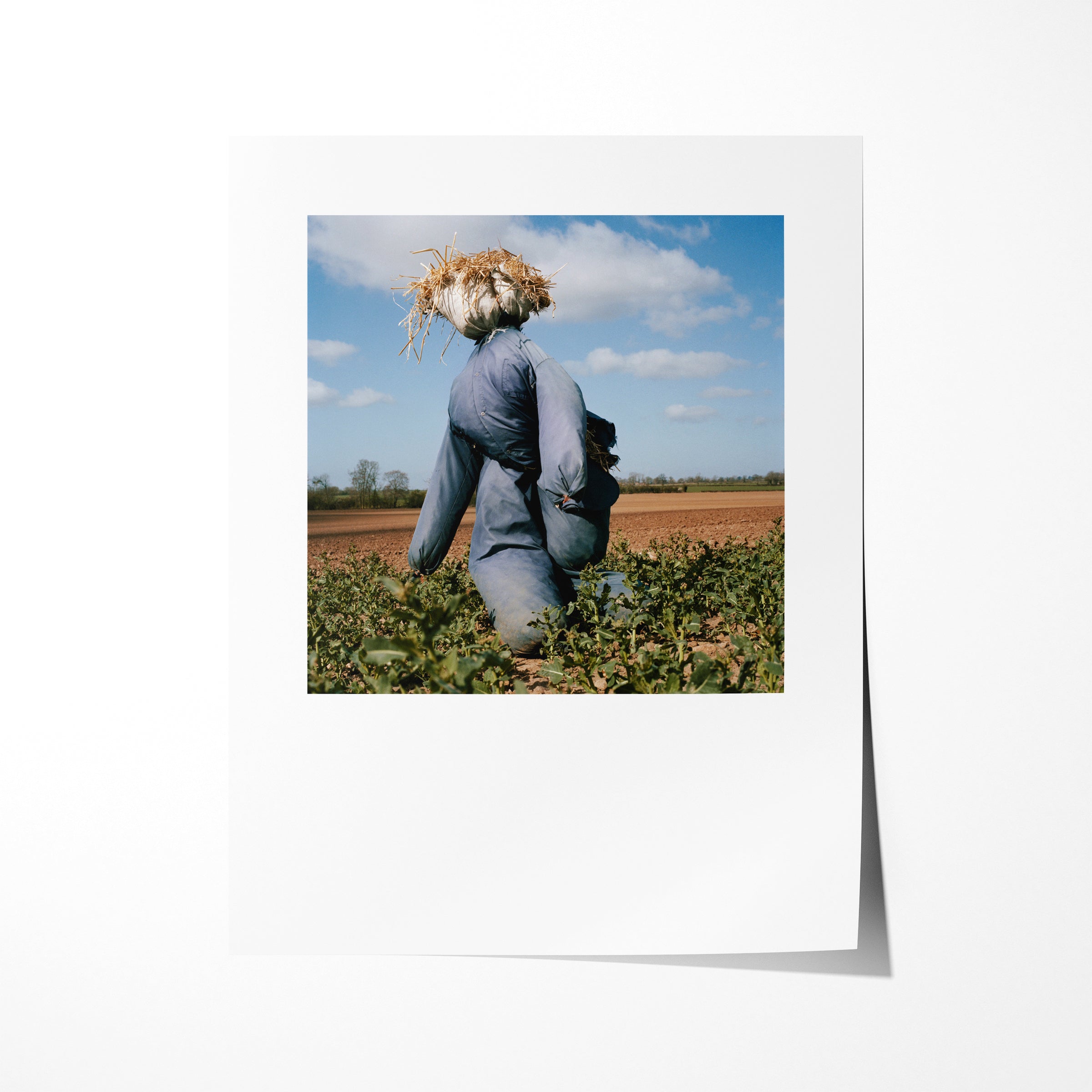 Scarecrow 21 - 7x9" Print