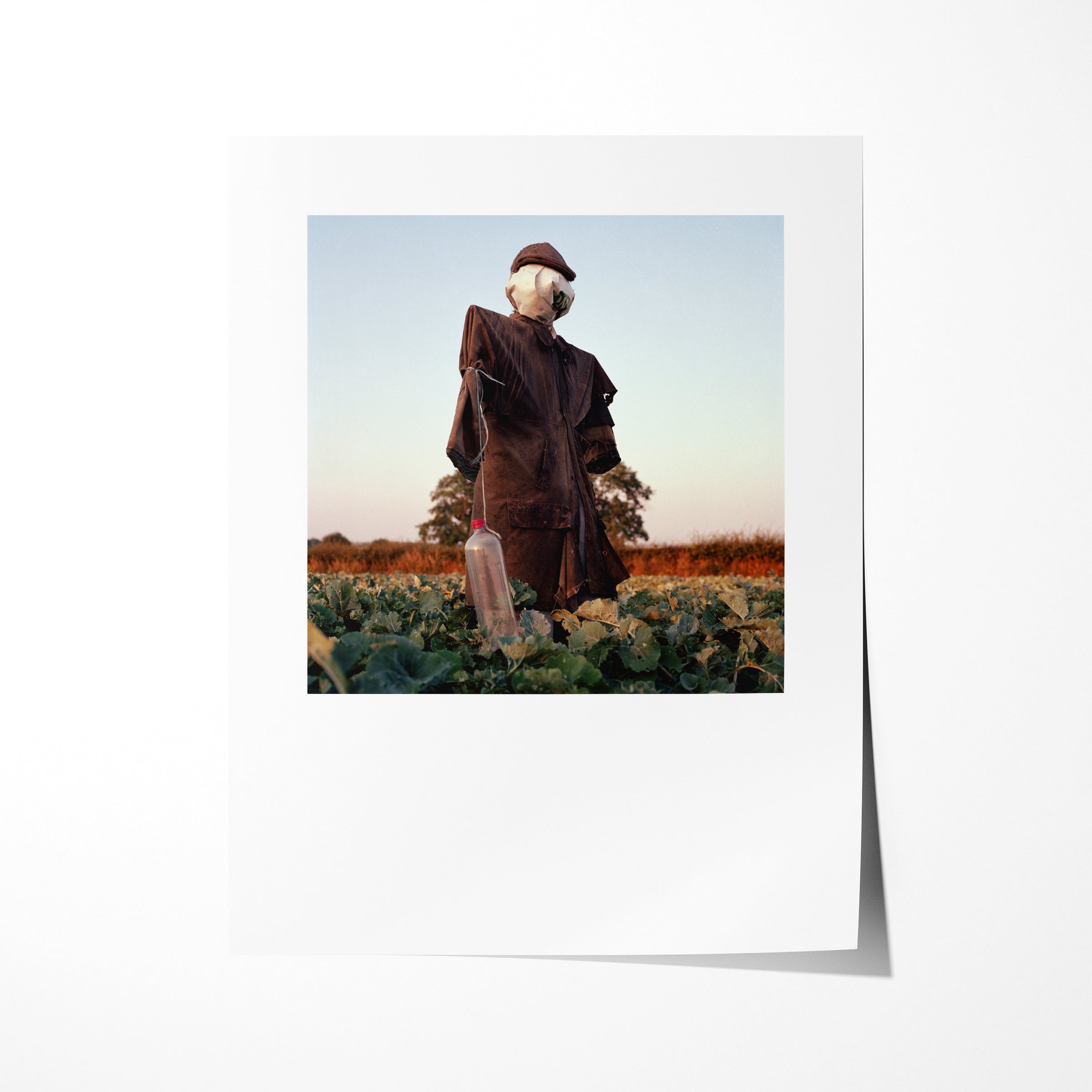 Scarecrow 51 - 7x9" Print