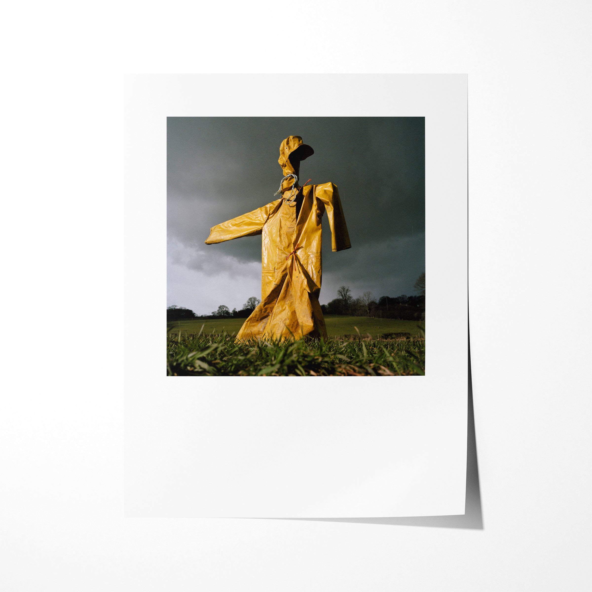 Scarecrow 54 - 7x9" Print