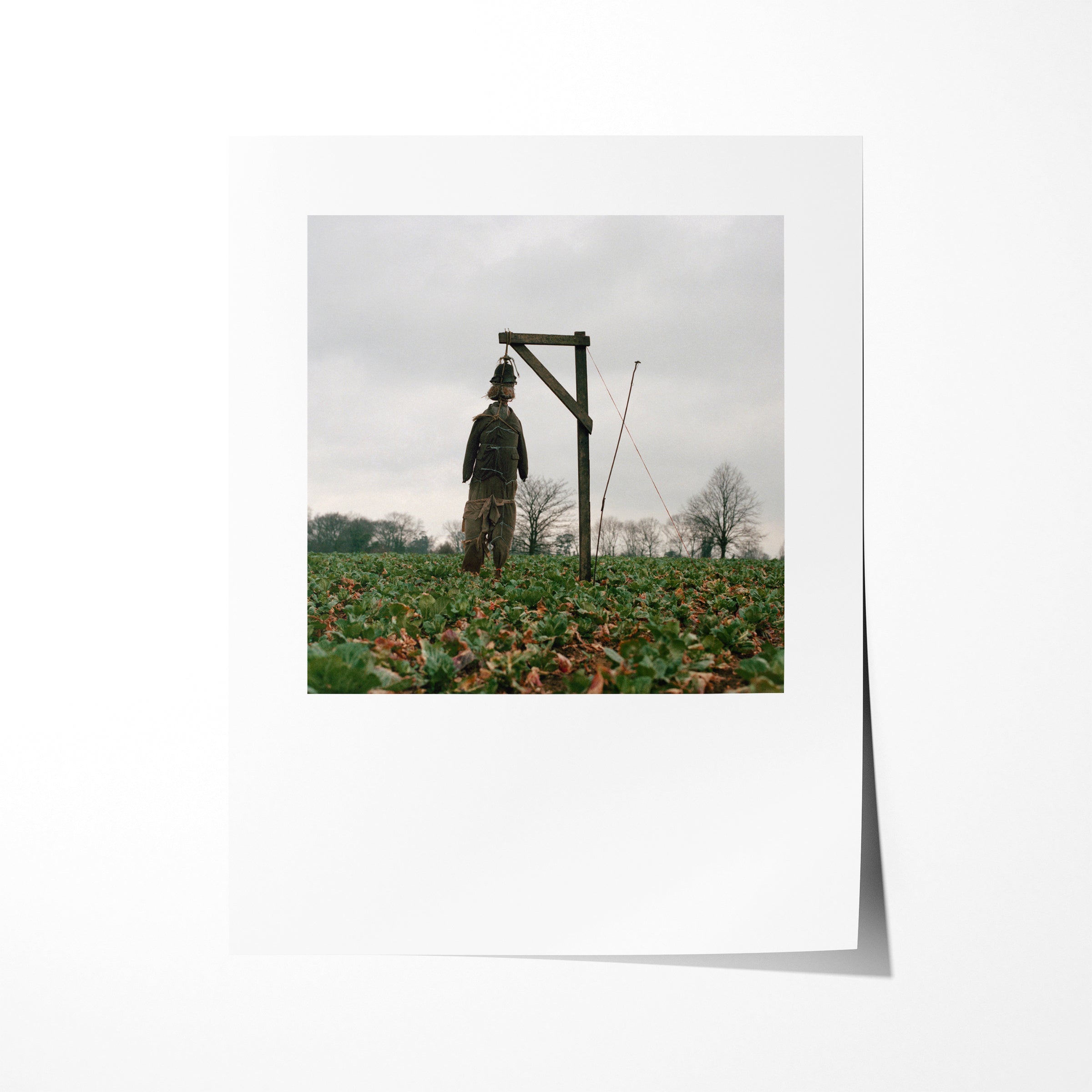Scarecrow 64 - 7x9" Print
