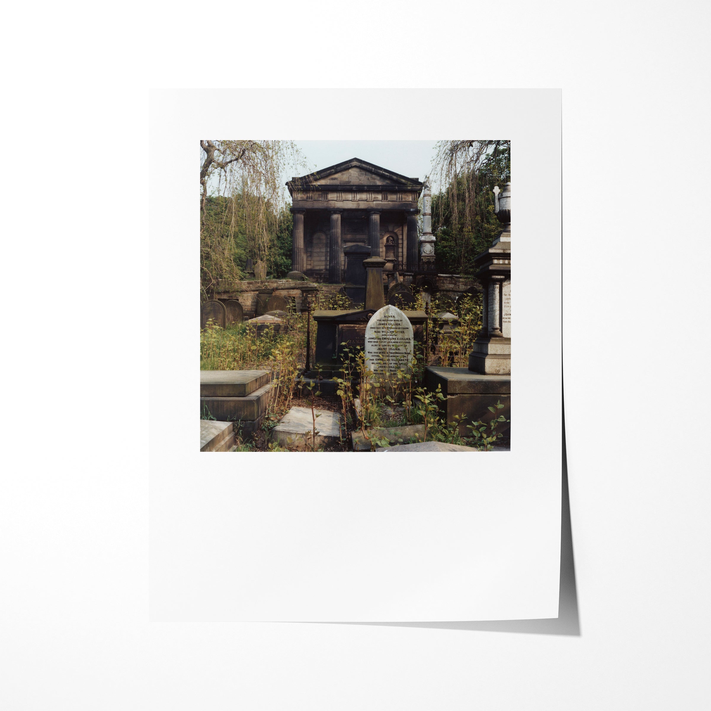 The General Cemetary, Sheffield, 1978 - 7x9" Print