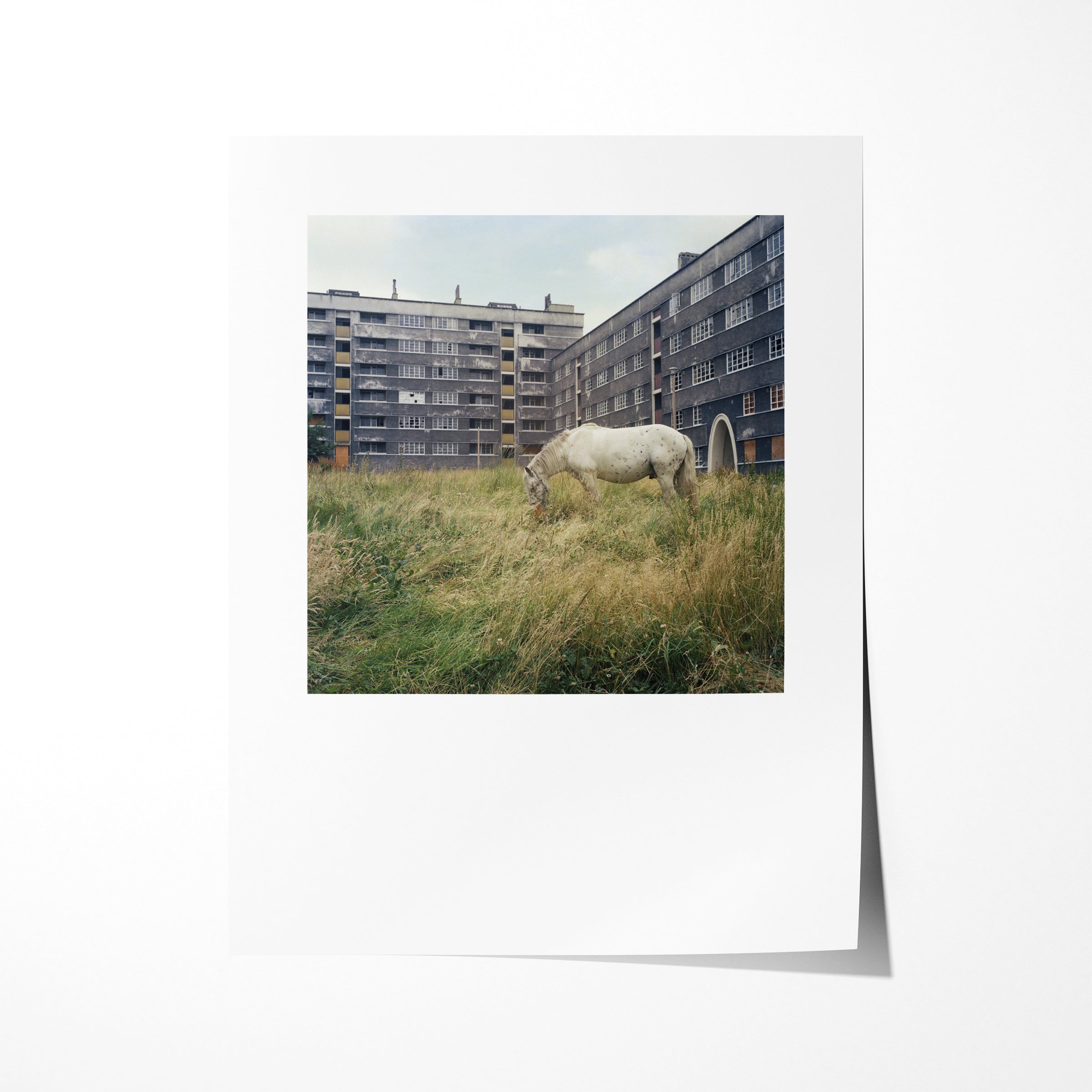 The Pony, Thoresby and Victoria Houses, Quarry Hill Flats, Leeds, 1978 - 7x9" Print