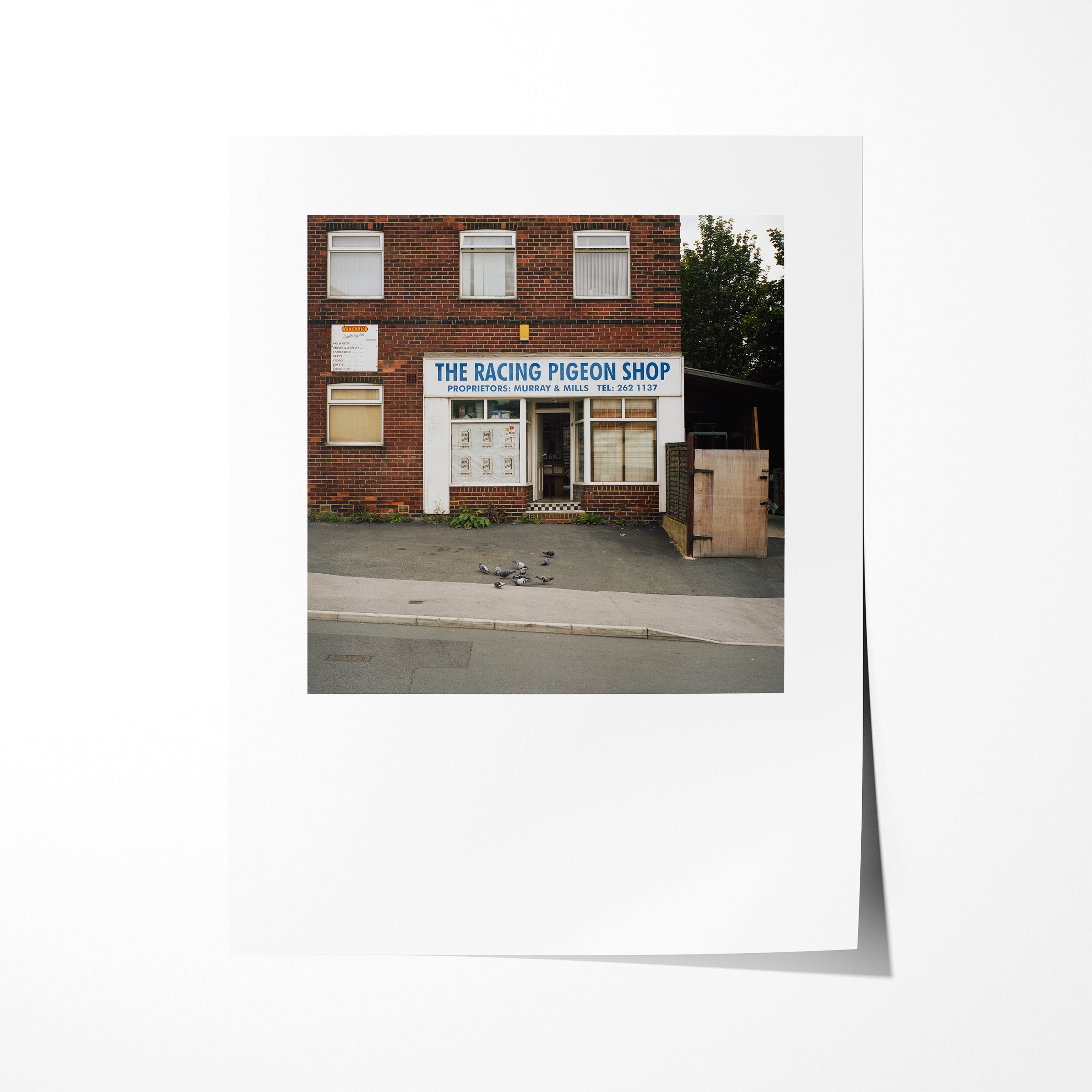 Racing Pigeon Shop (ii), Blake Grove, Leeds, Summer 2009 - Reproduction Print