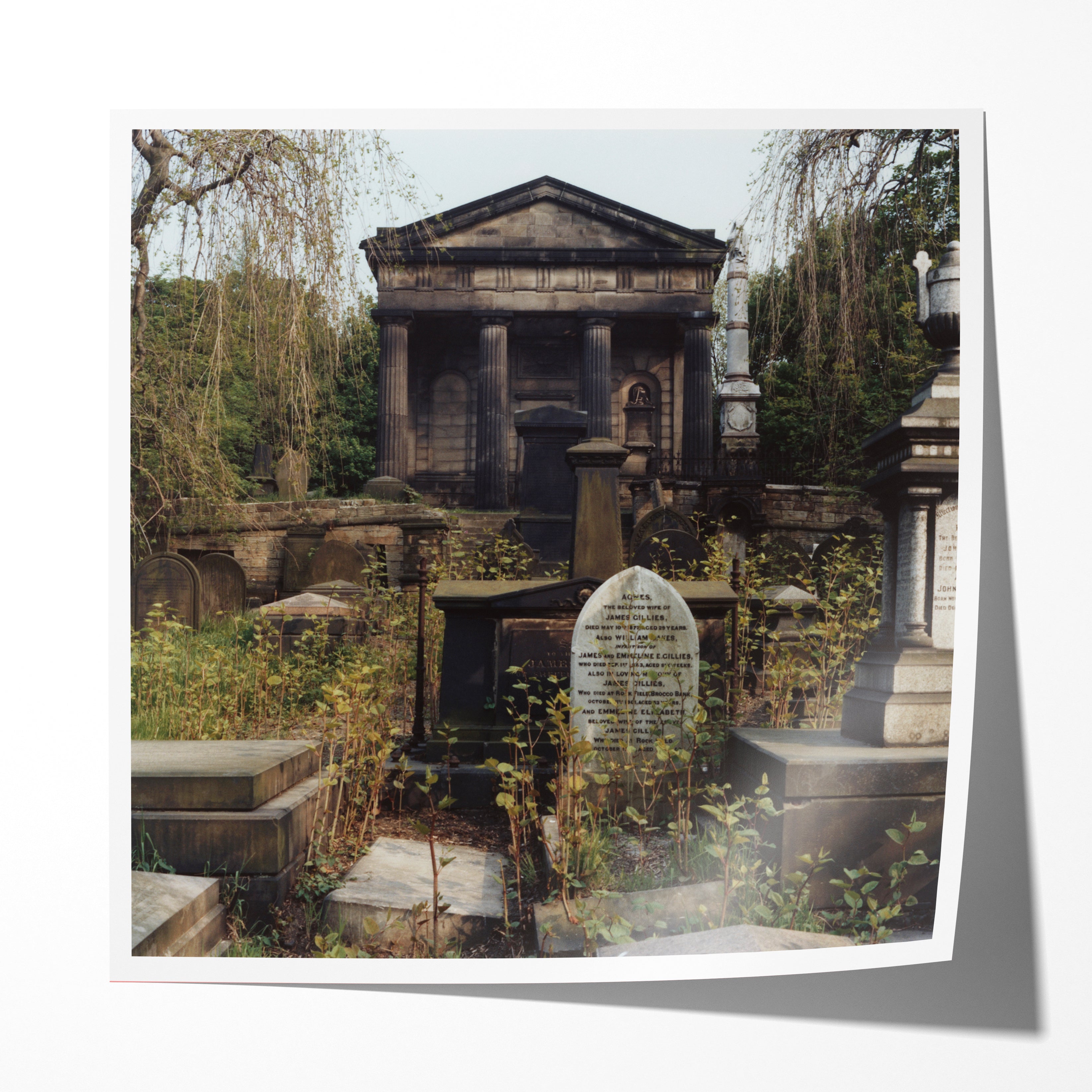 The General Cemetary, Sheffield, 1978