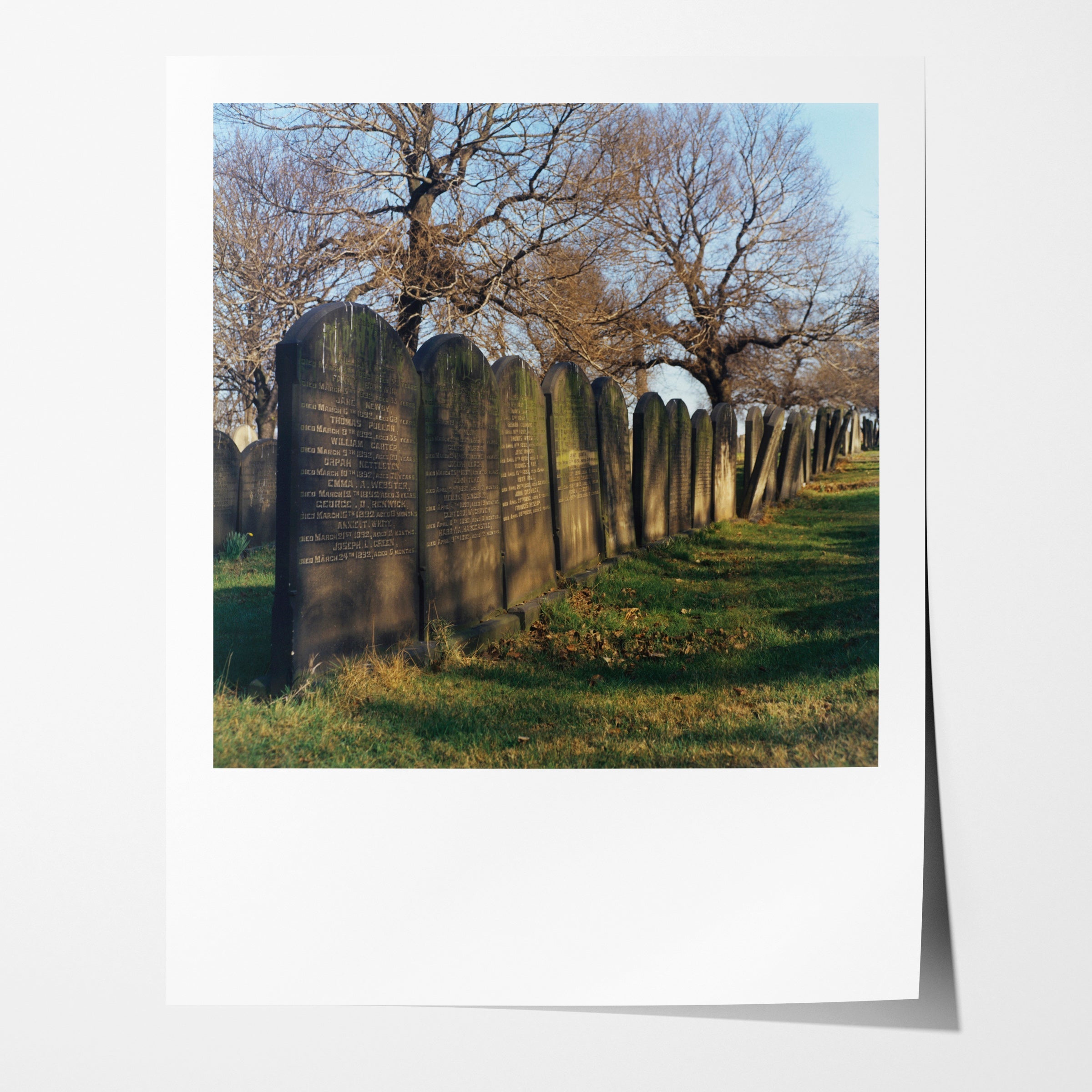 St. James' Cemetary, Leeds, 1975