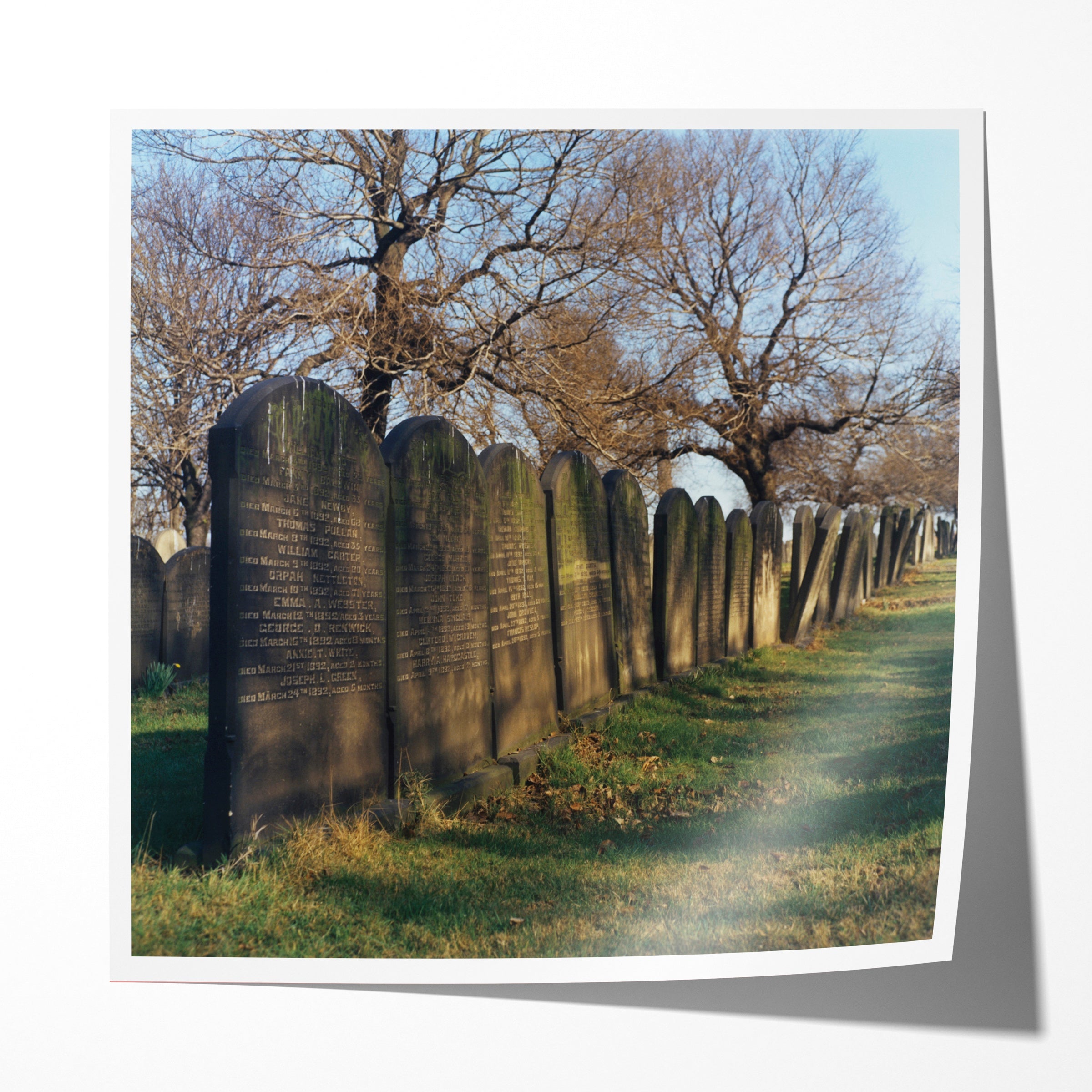 St. James' Cemetary, Leeds, 1975