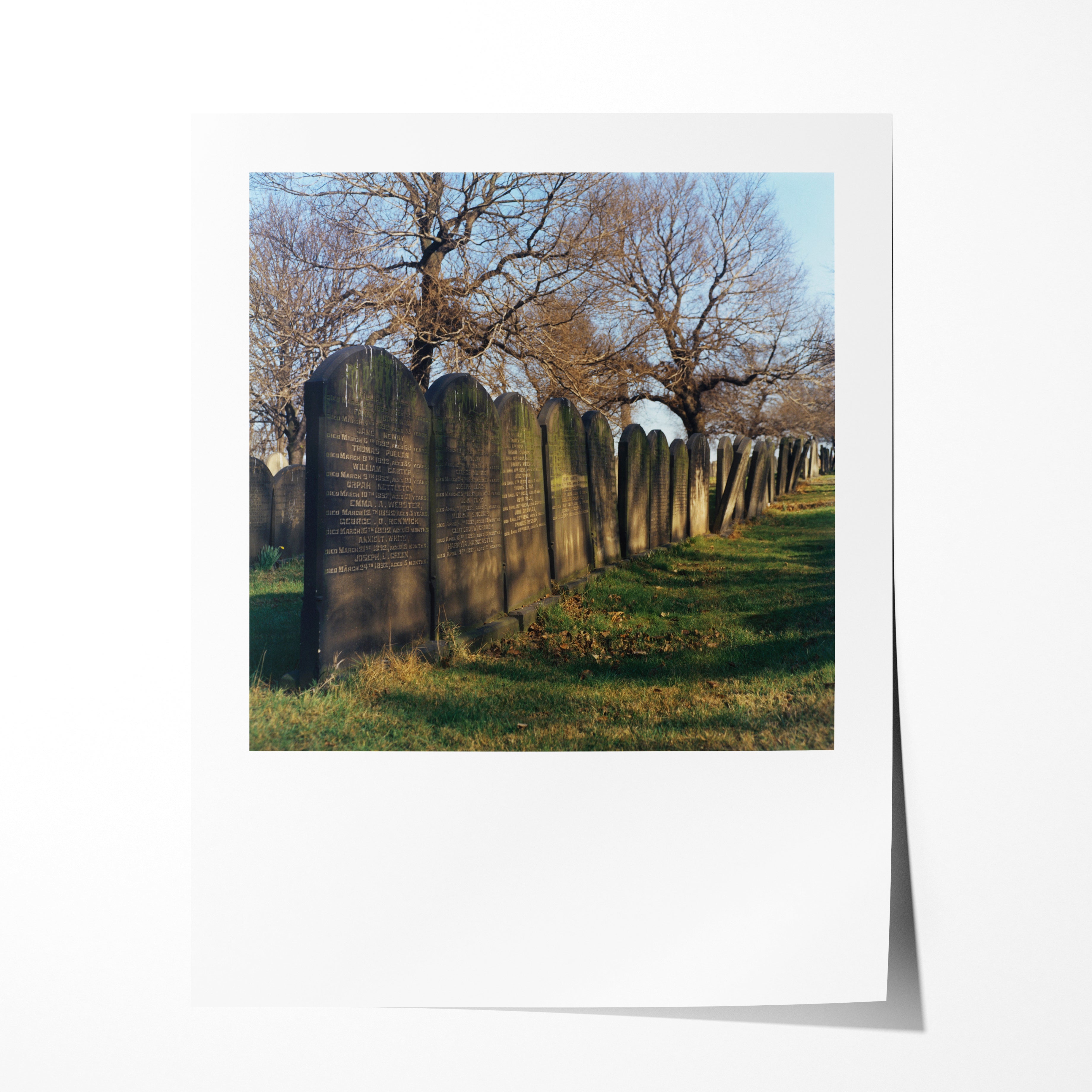 St. James' Cemetary, Leeds, 1975