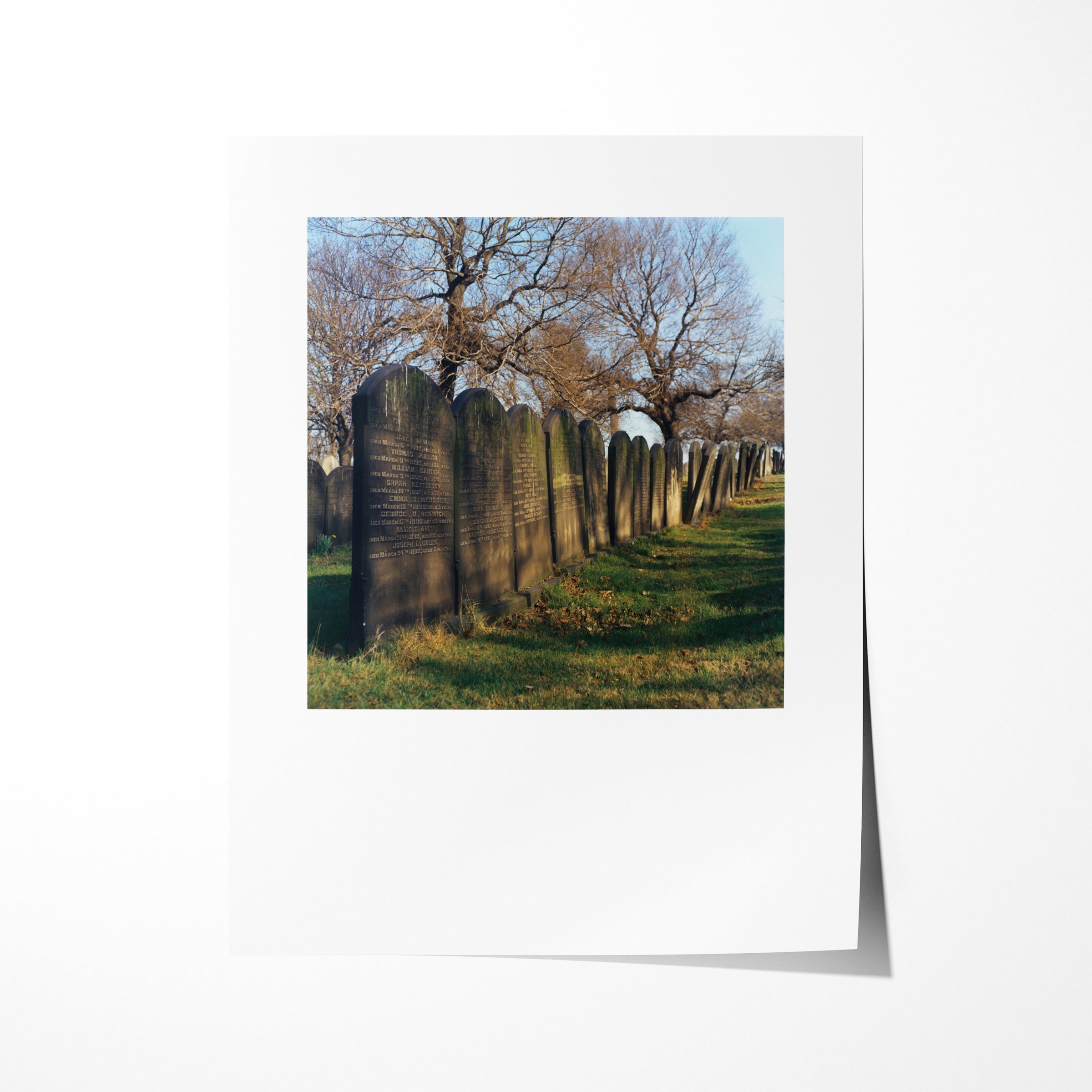 St. James' Cemetary, Leeds, 1975