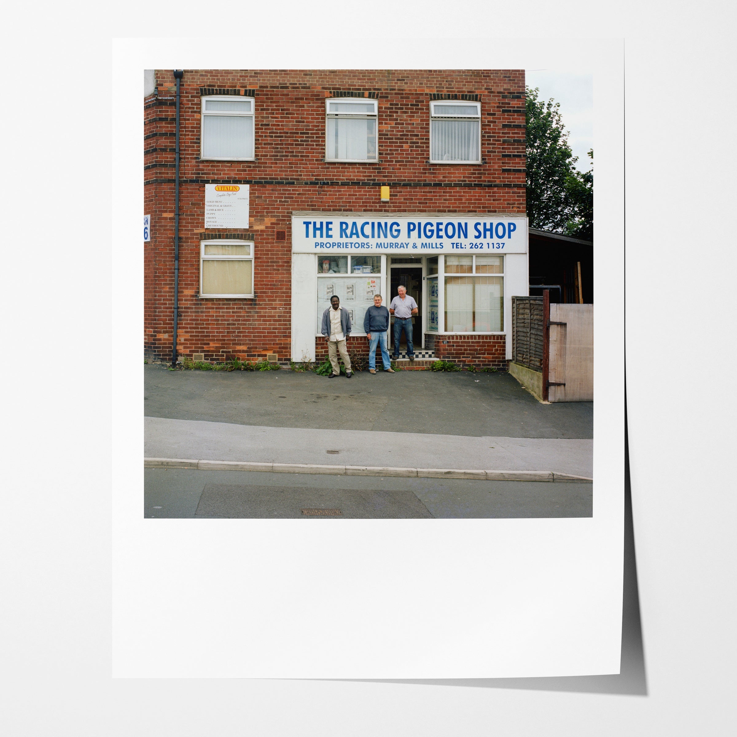 The Racing Pigeon Shop, Blake Grove, 2009